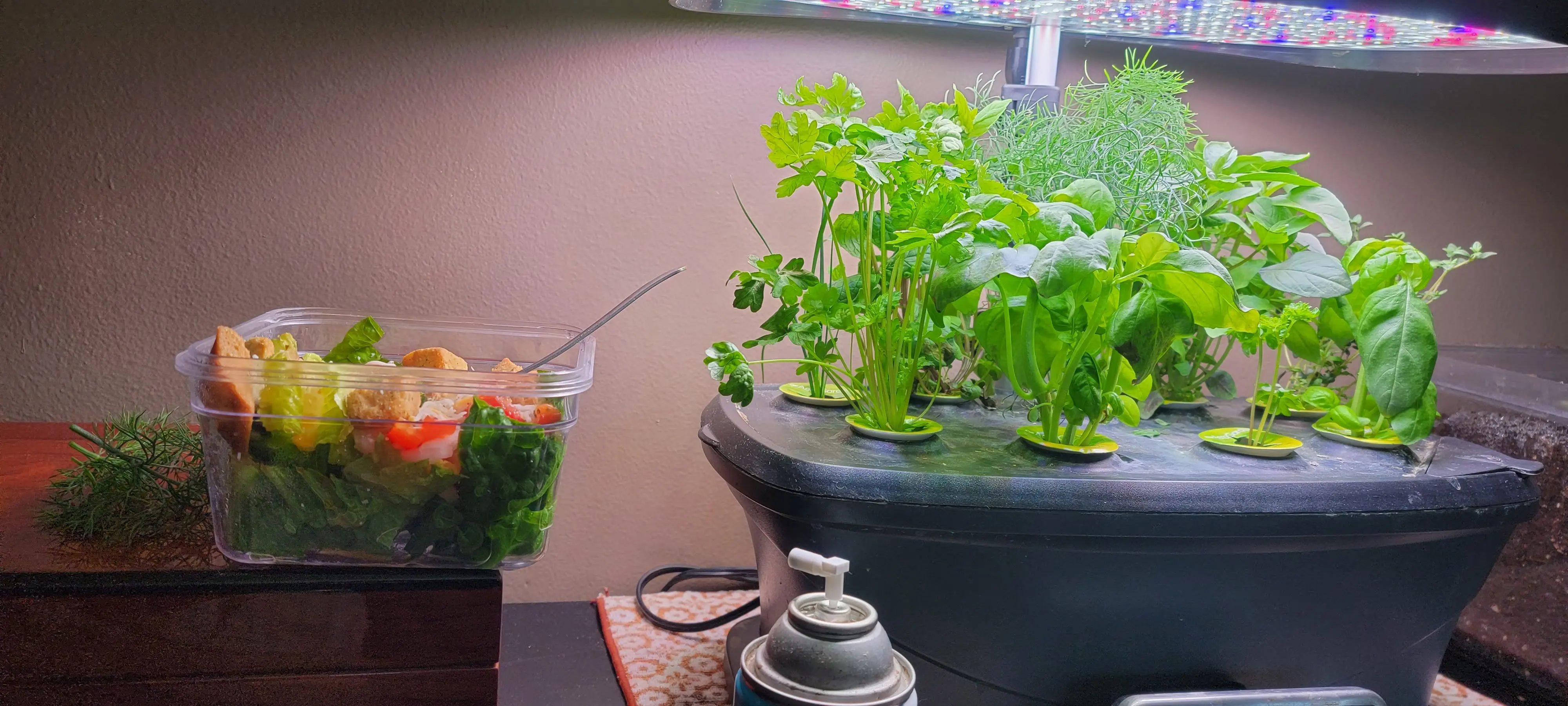 Image 20210402_130923.webp