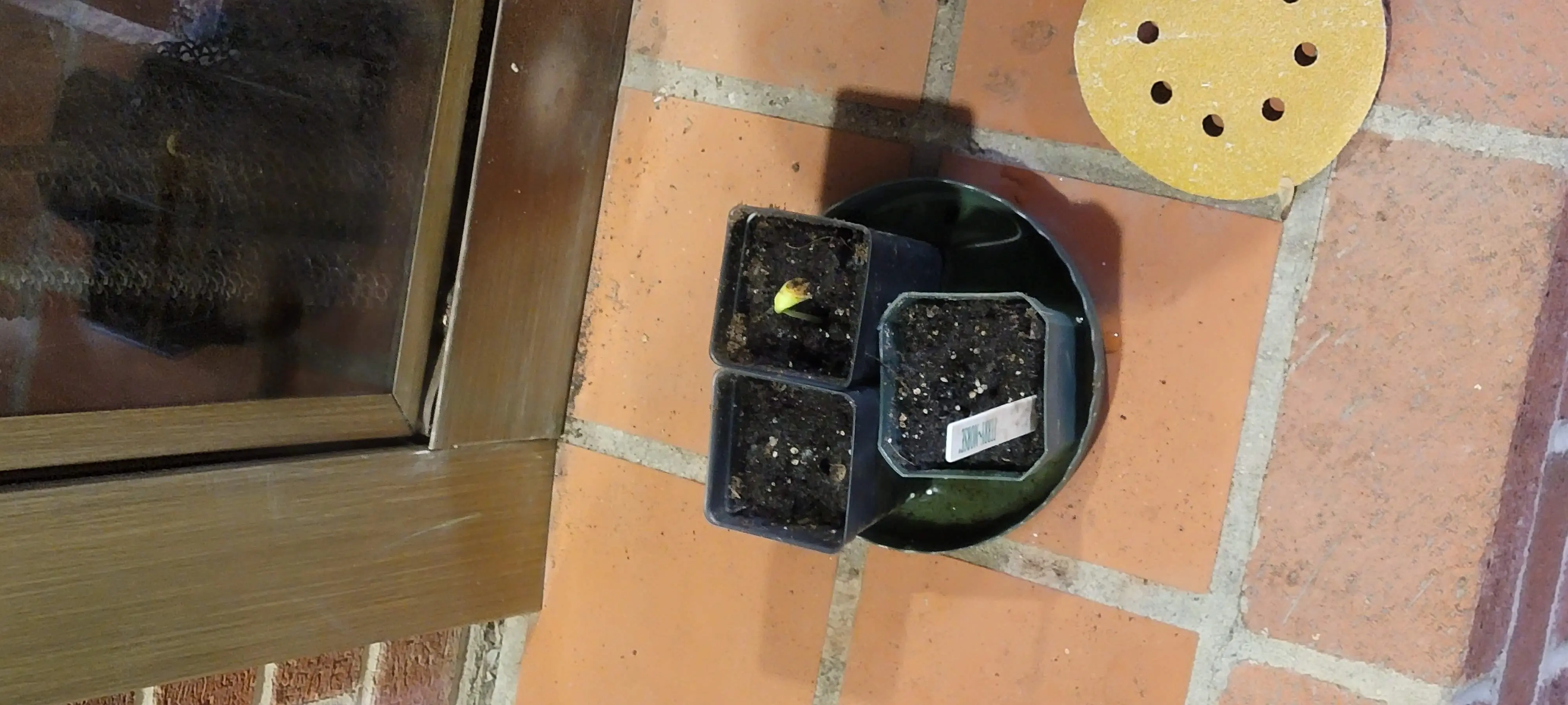 Image 20210411_205530.webp