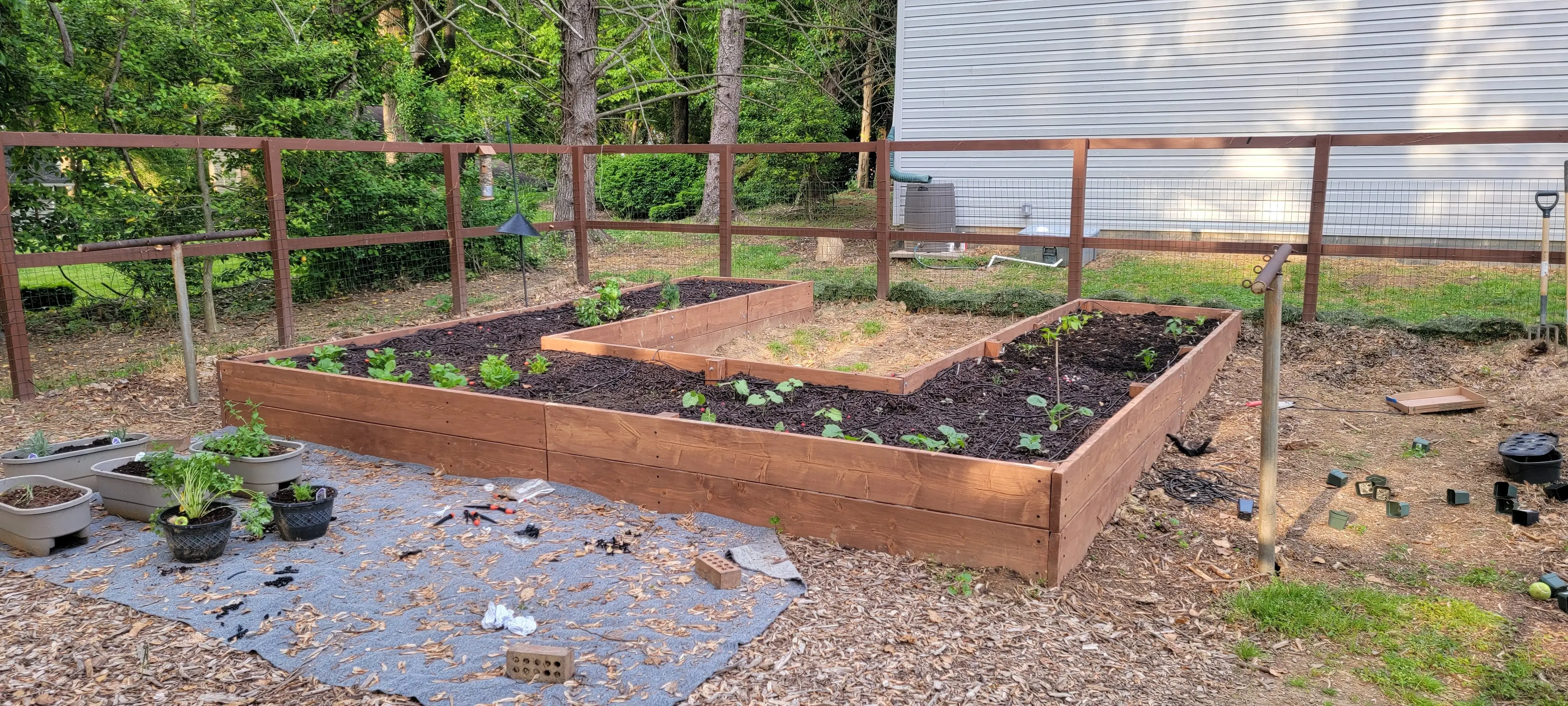 Image 20210517_185054.webp