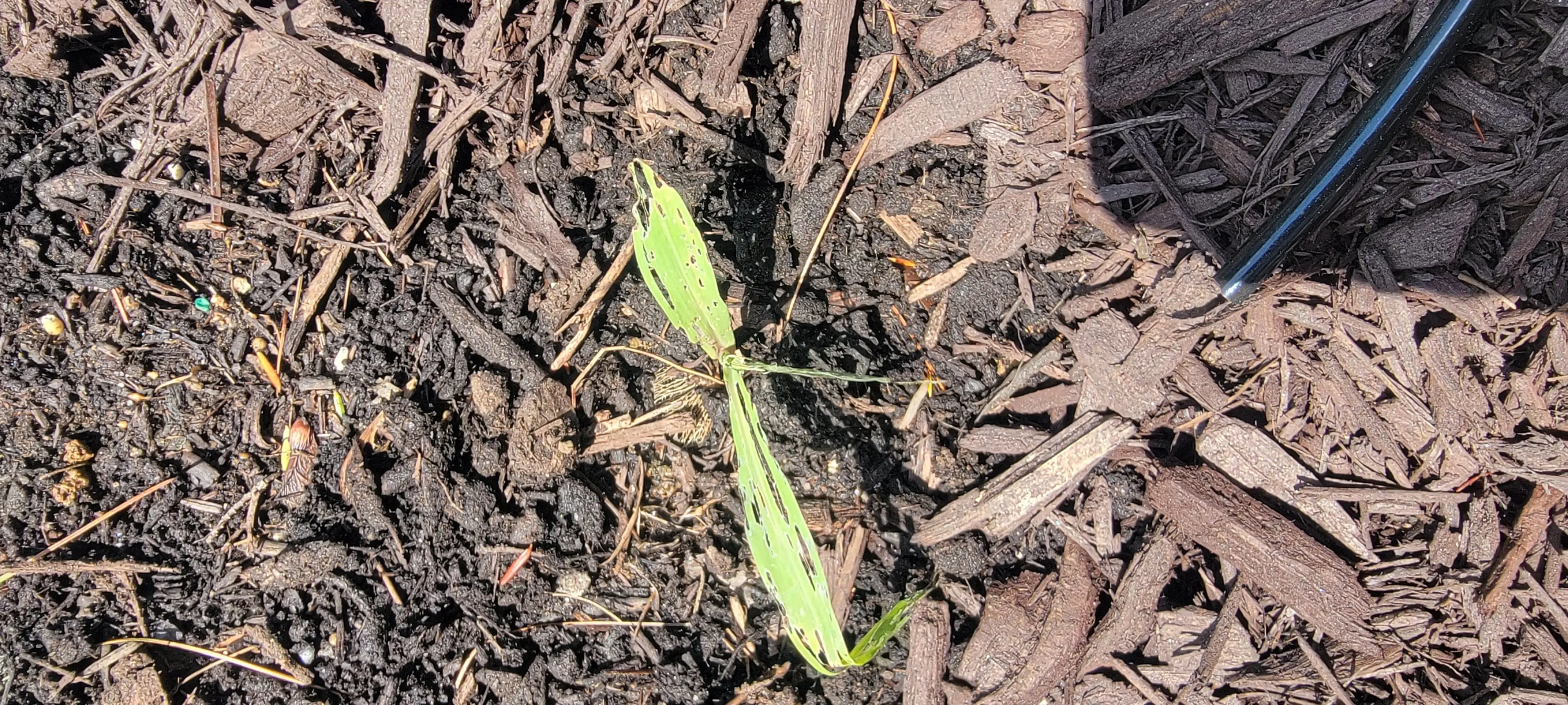 Image 20210518_114153.webp