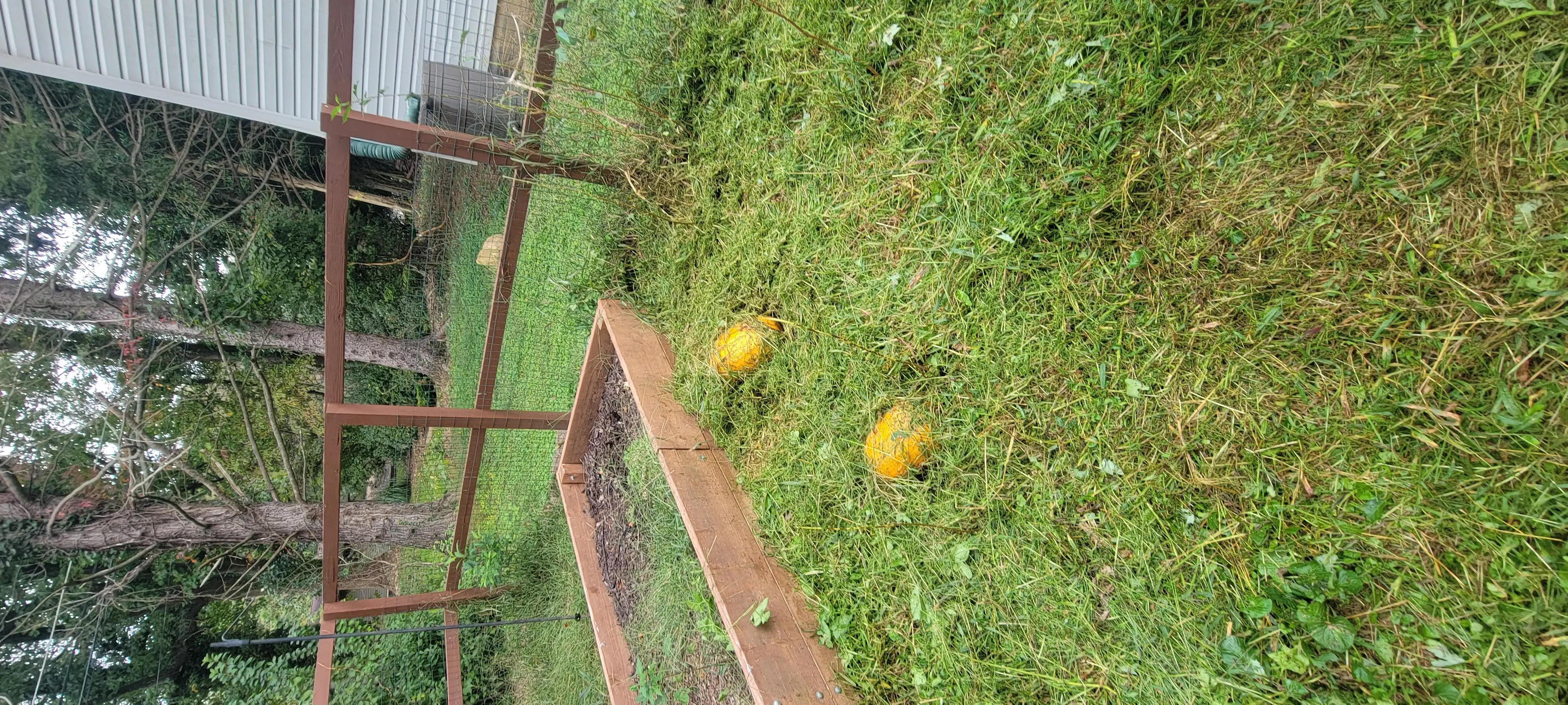 Image 20211005_150505.webp