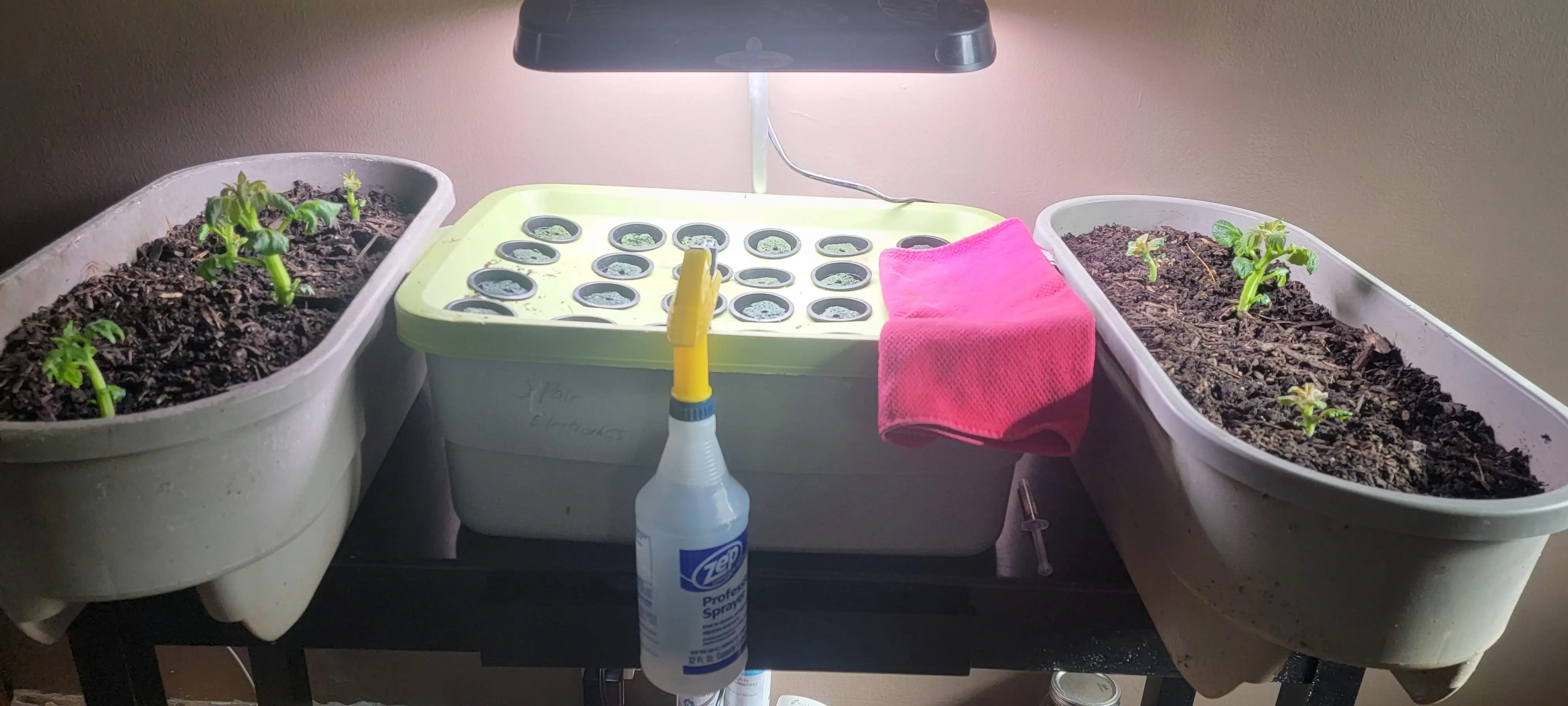 Image 20220115_132534.webp