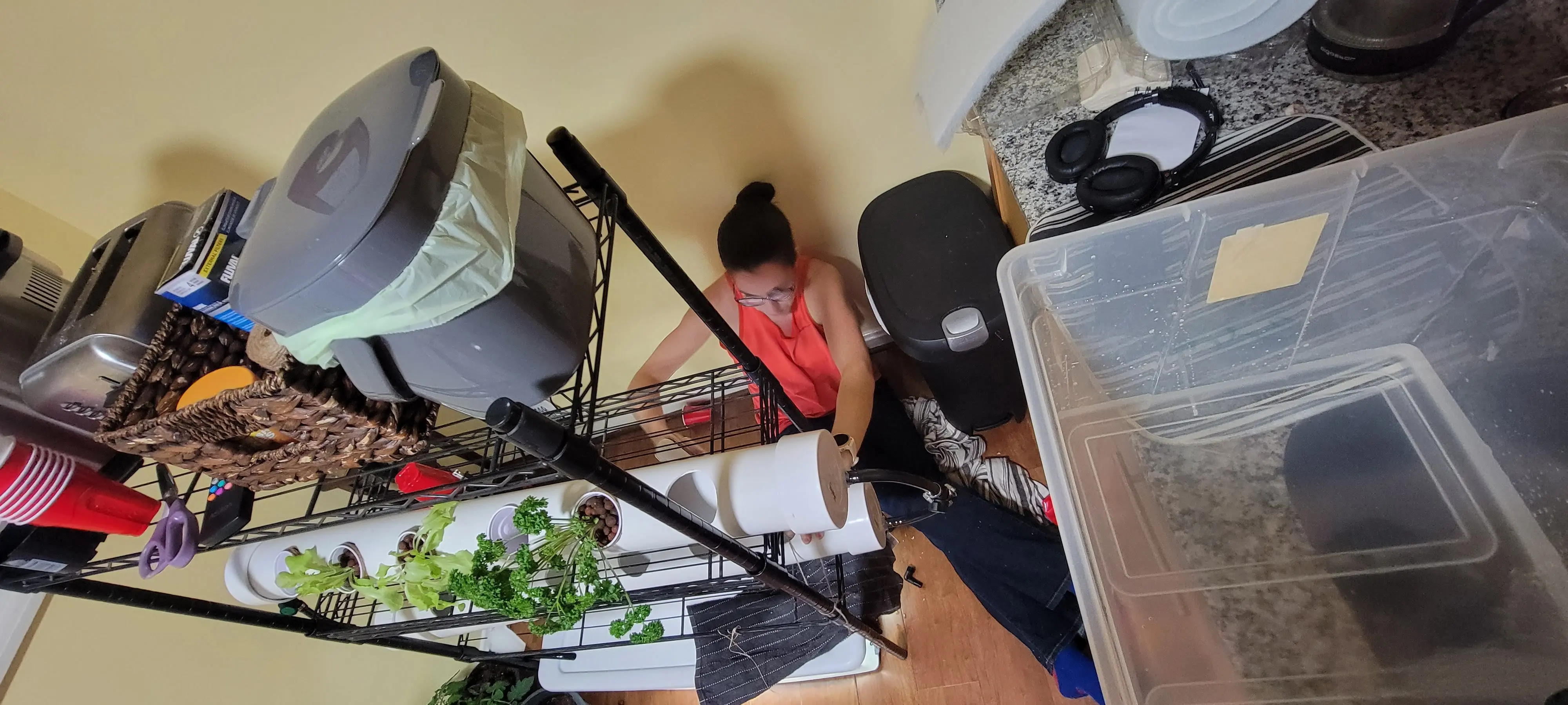 Image 20220213_175348.webp