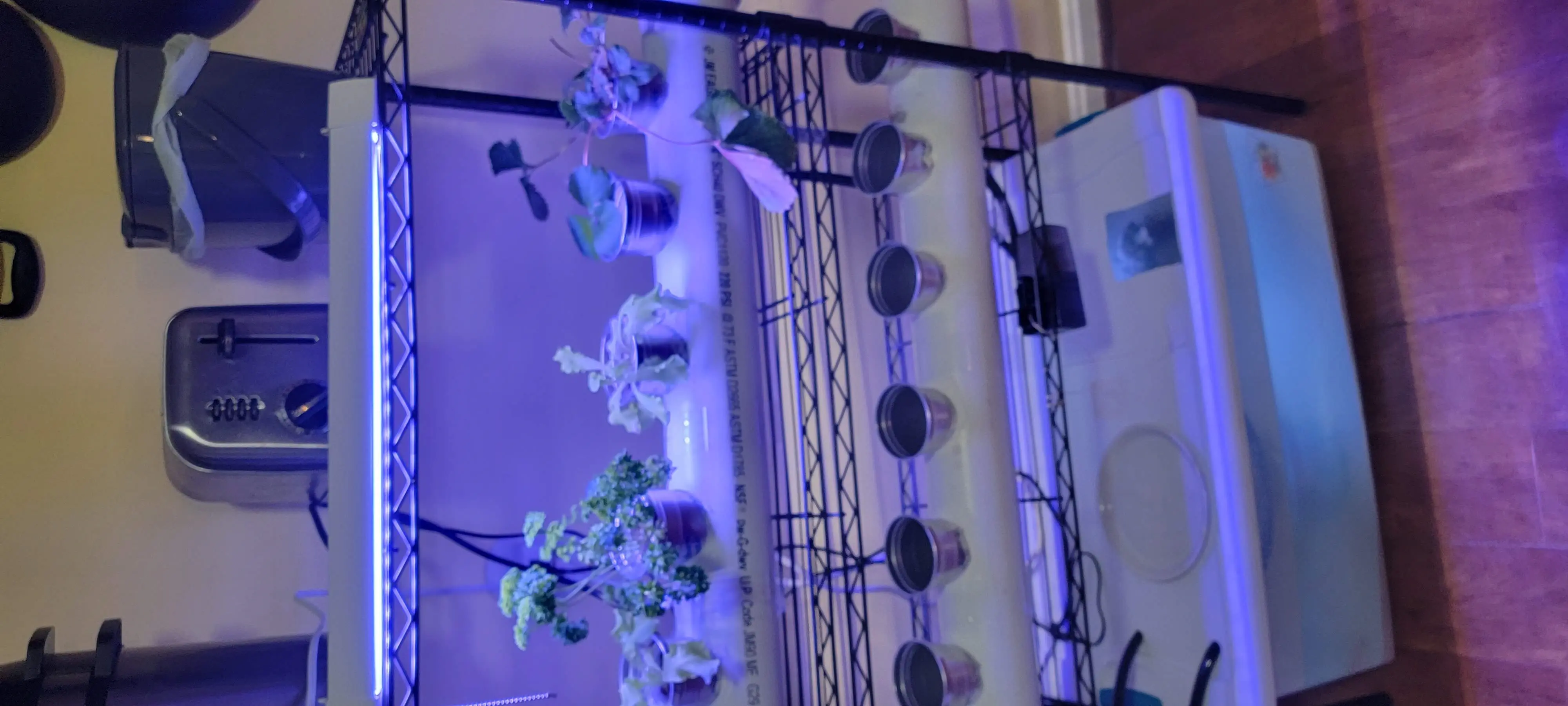 Image 20220221_192359.webp