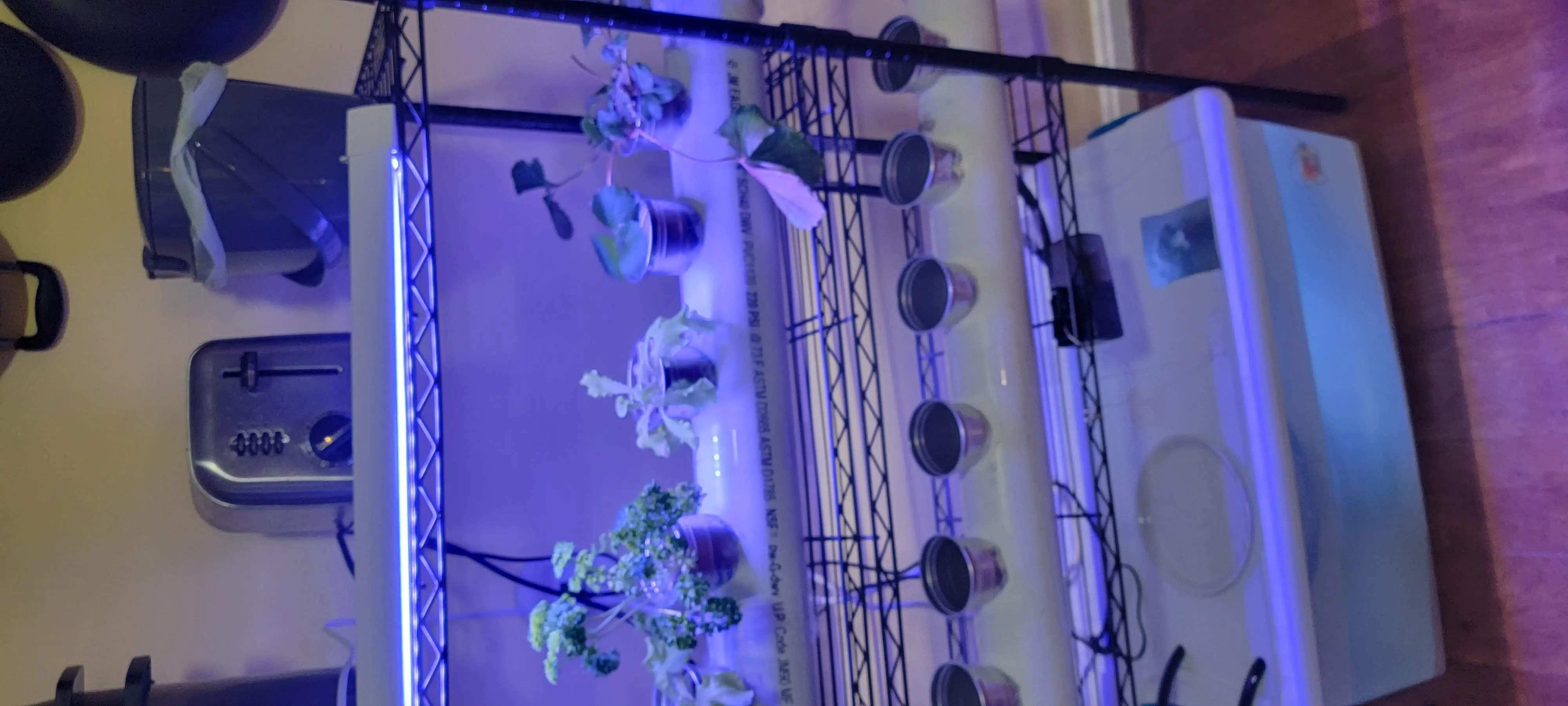 Image 20220221_192406.webp