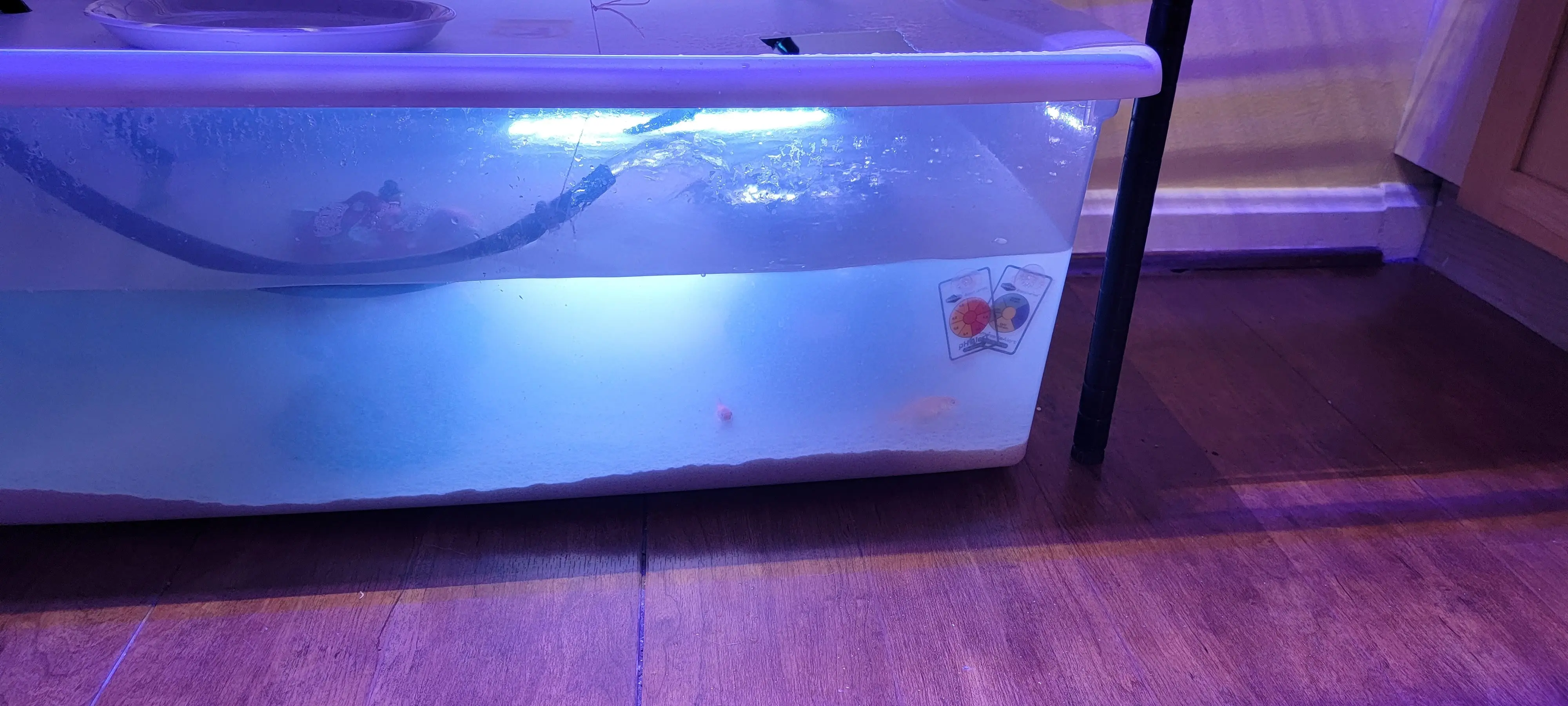 Image 20220221_195256.webp