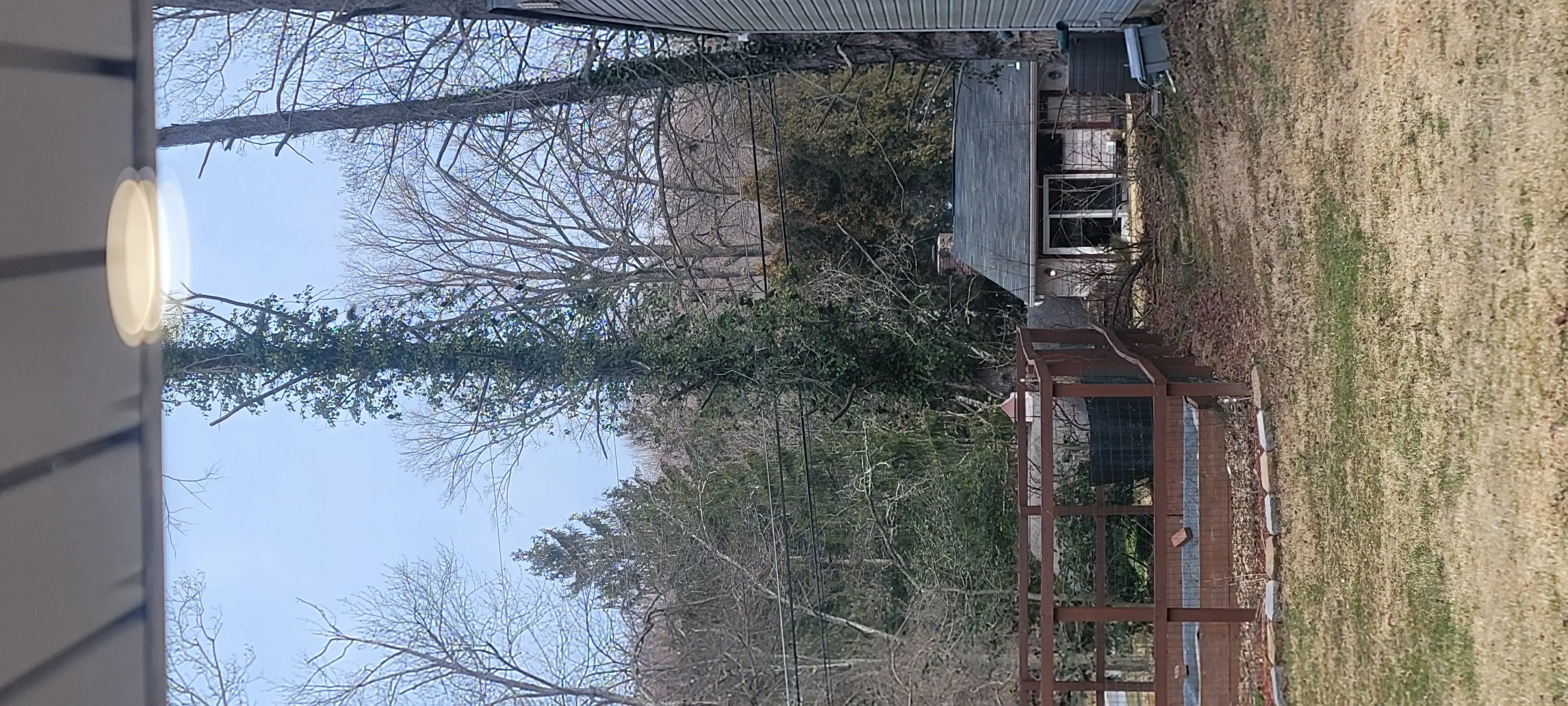 Image 20220226_090400.webp