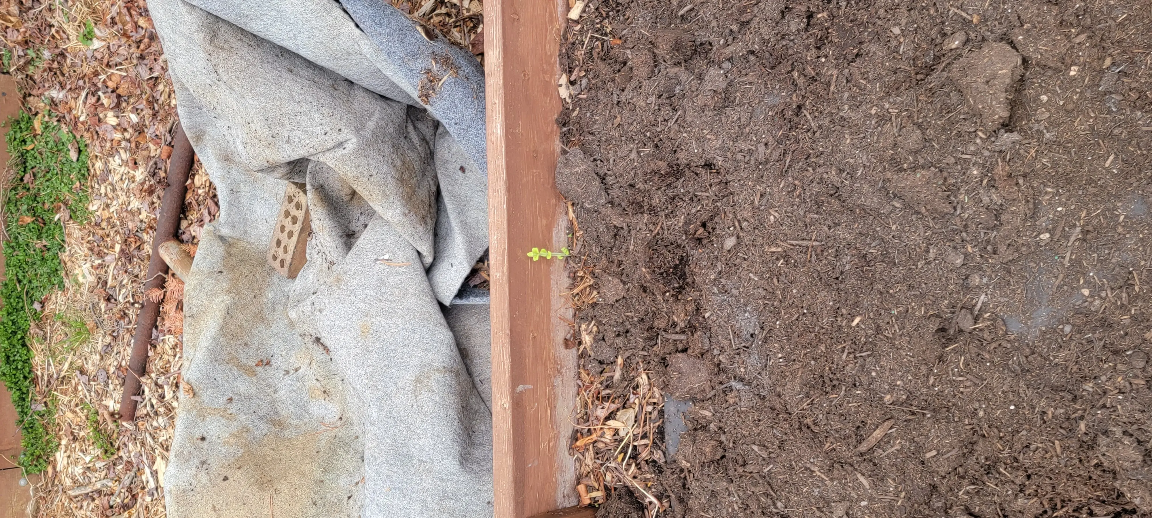 Image 20220326_100943.webp