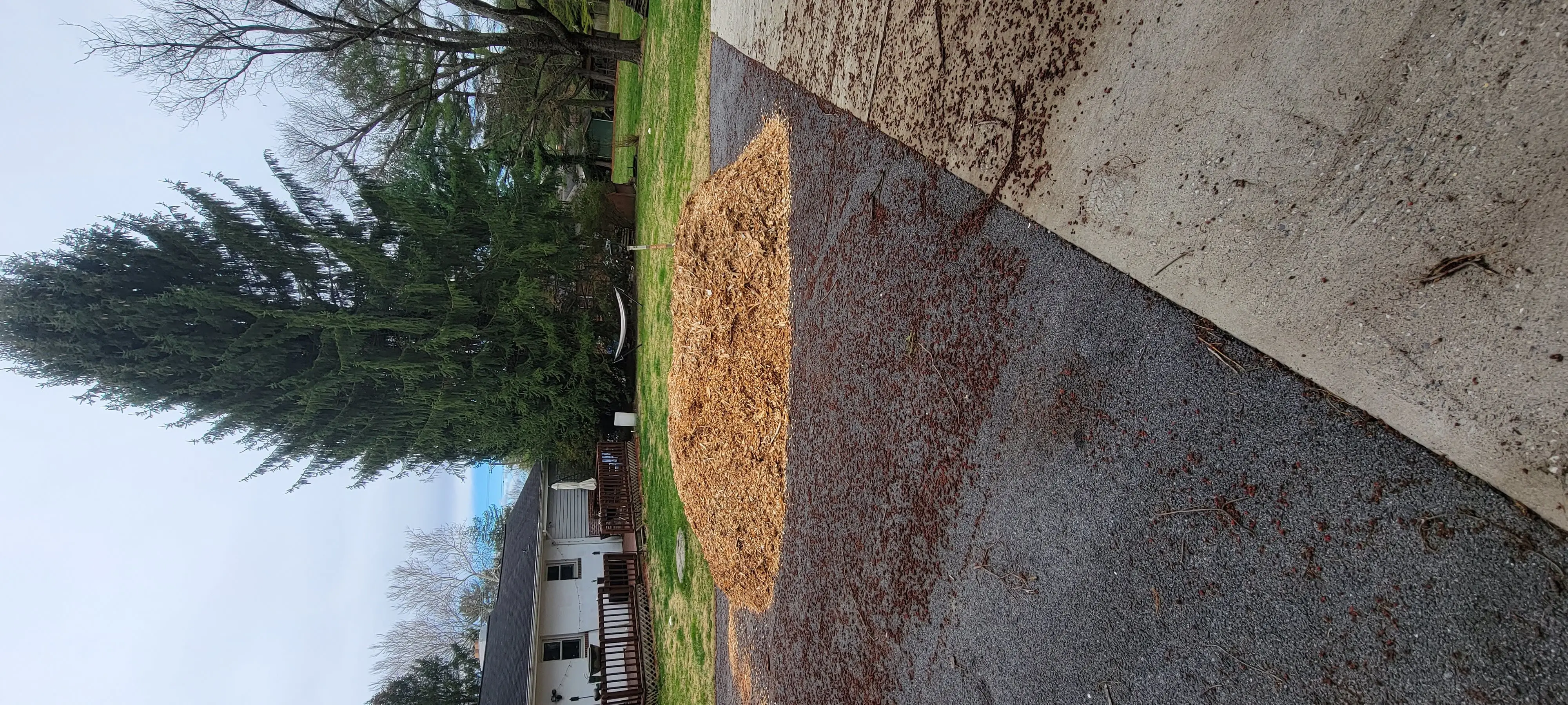 Image 20220326_103833.webp