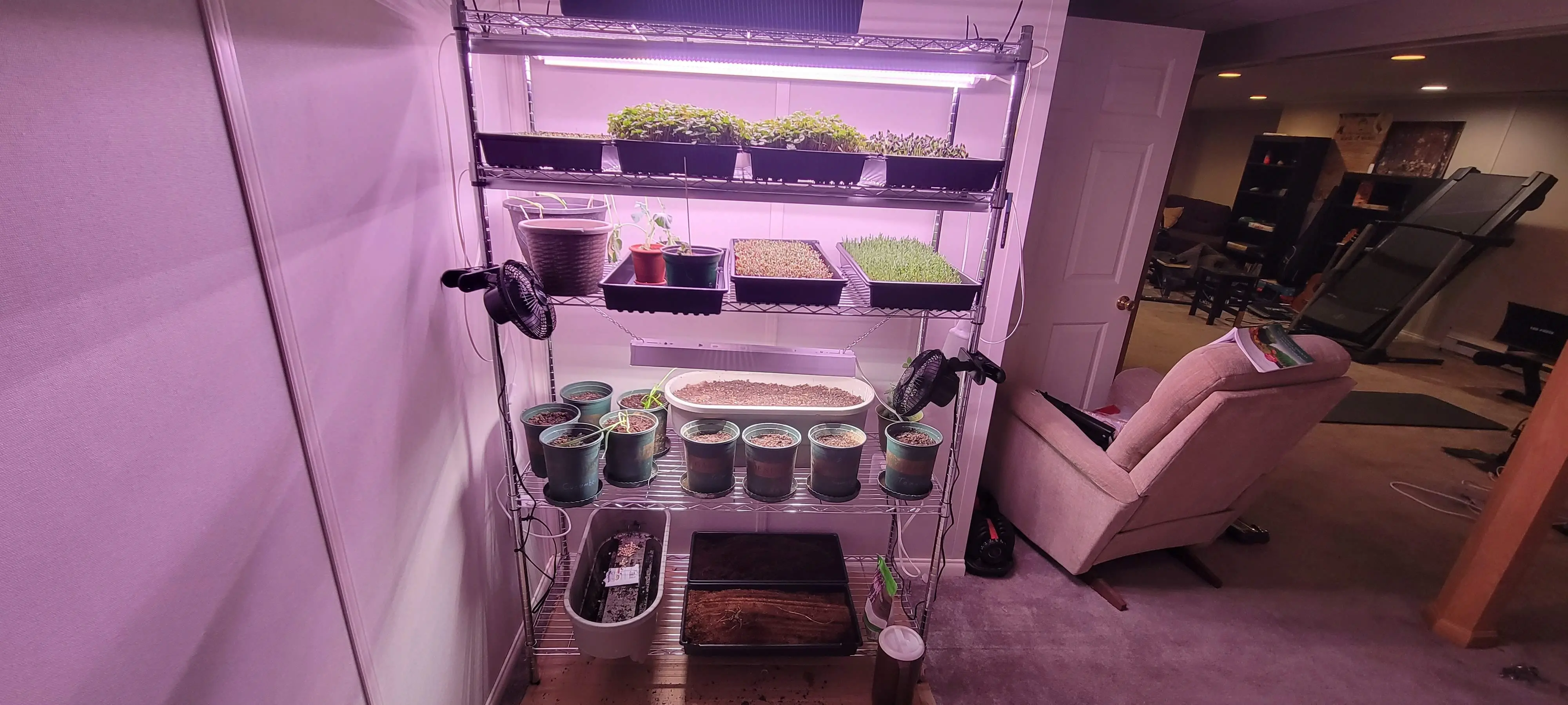 Image 20220328_174138.webp