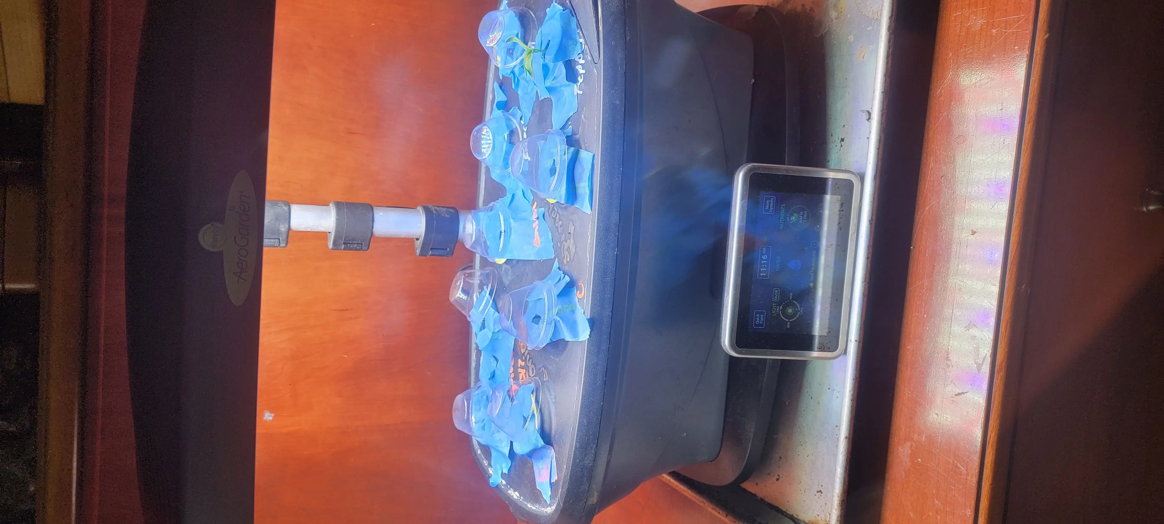 Image 20220401_111606.webp