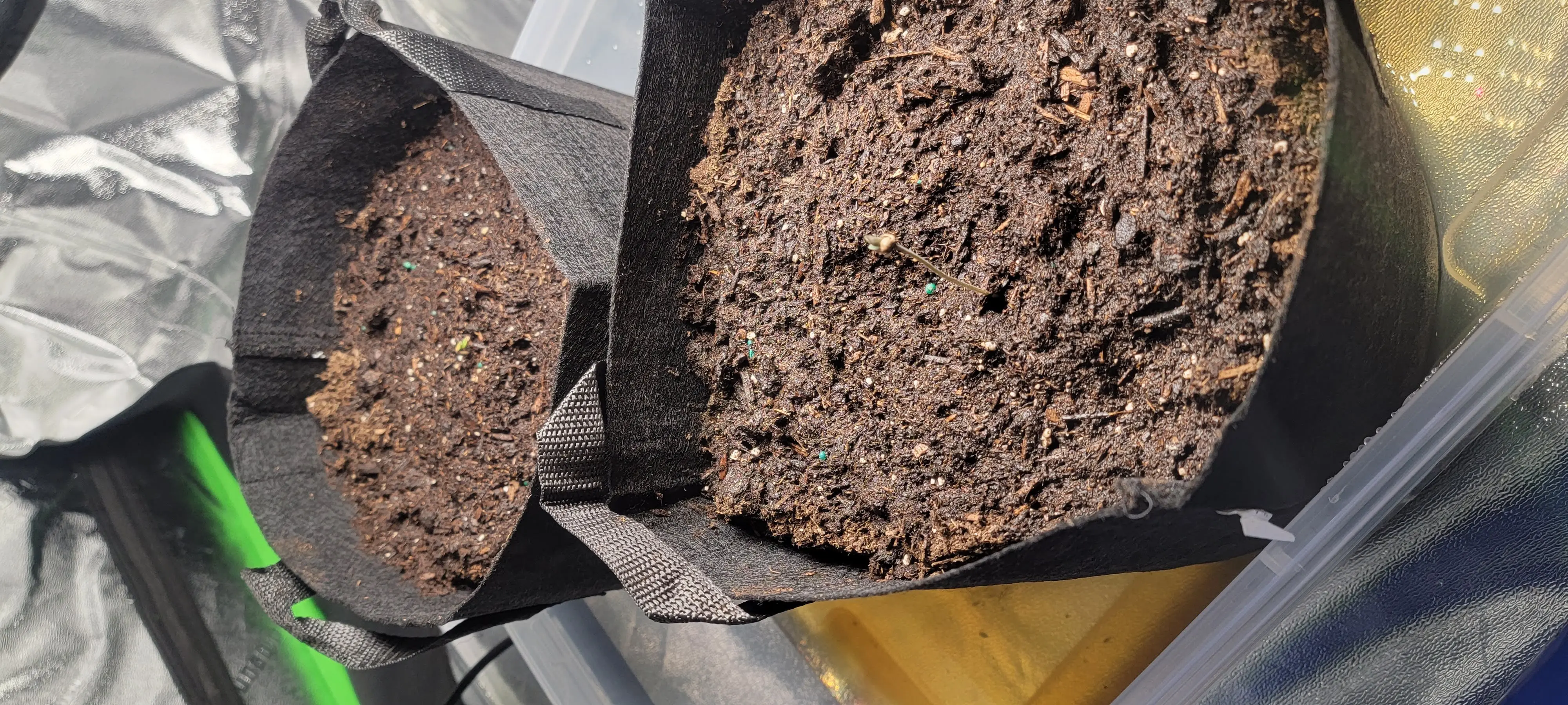 Image 20220403_182237.webp