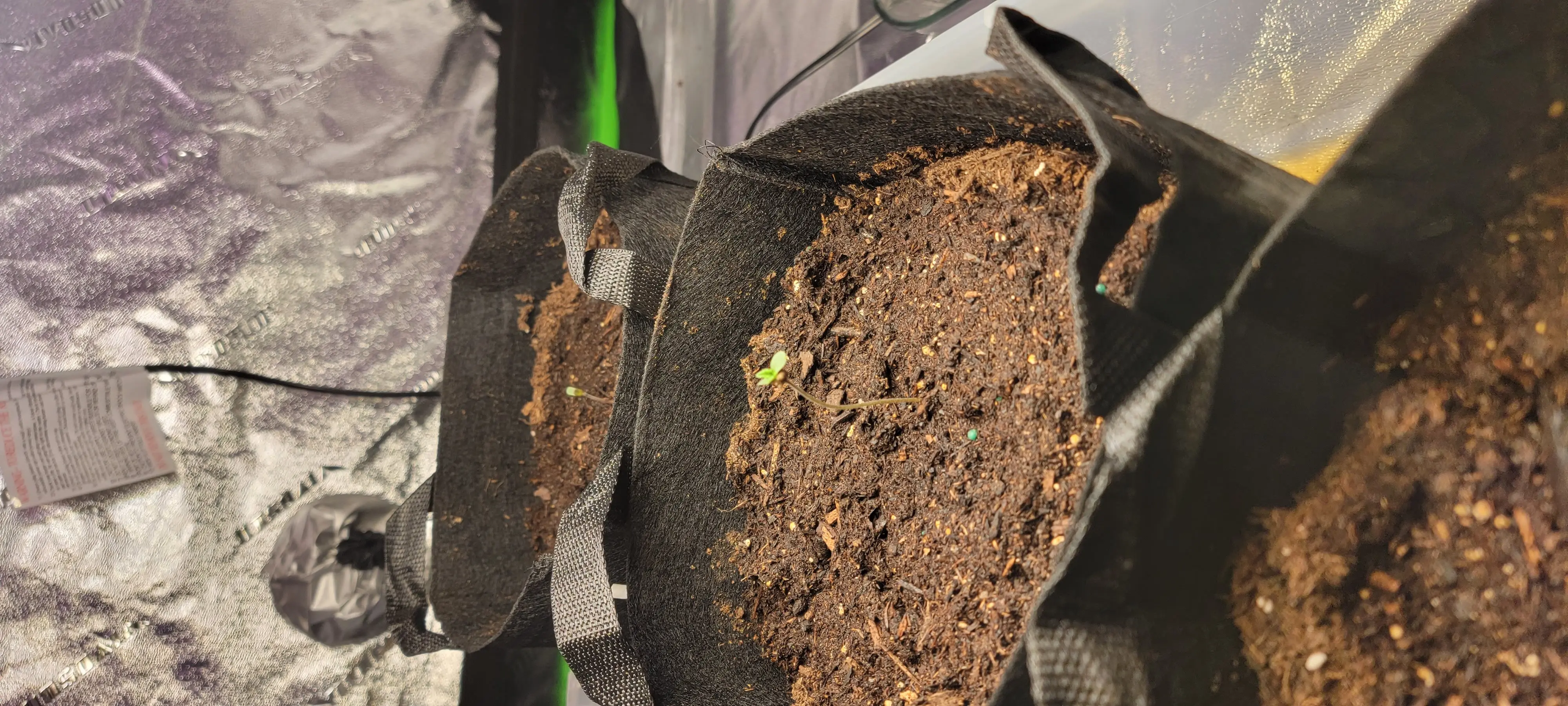 Image 20220404_205147.webp