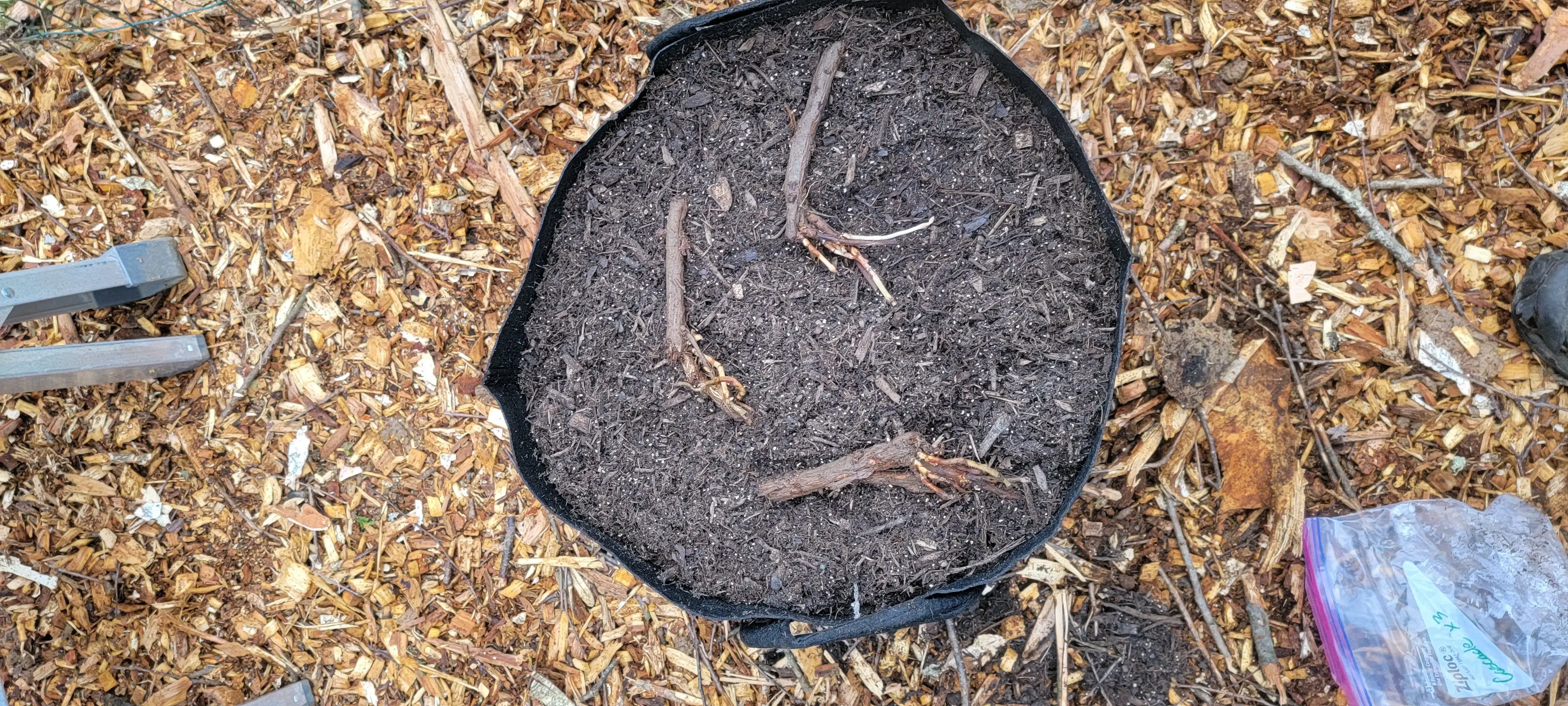 Image 20220406_184419.webp