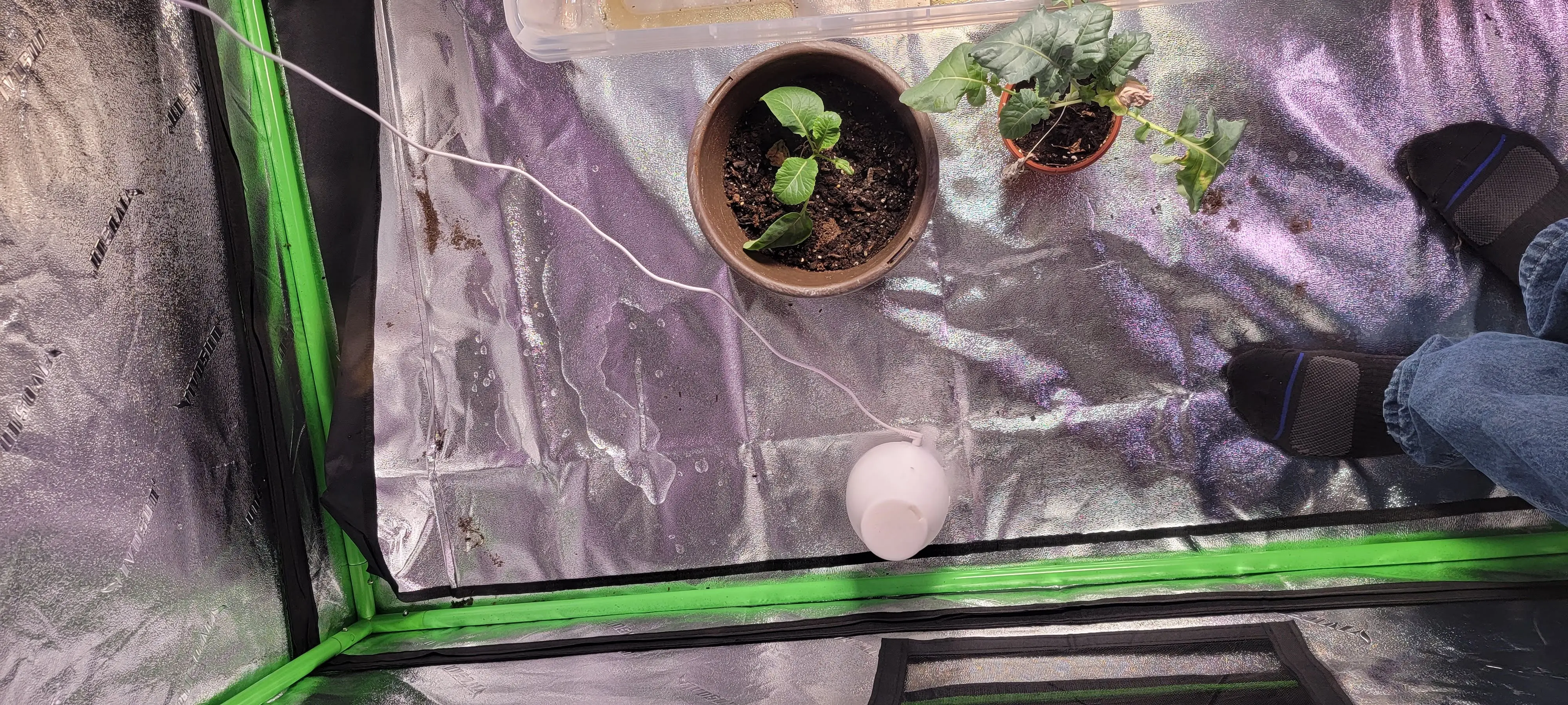 Image 20220407_113448.webp