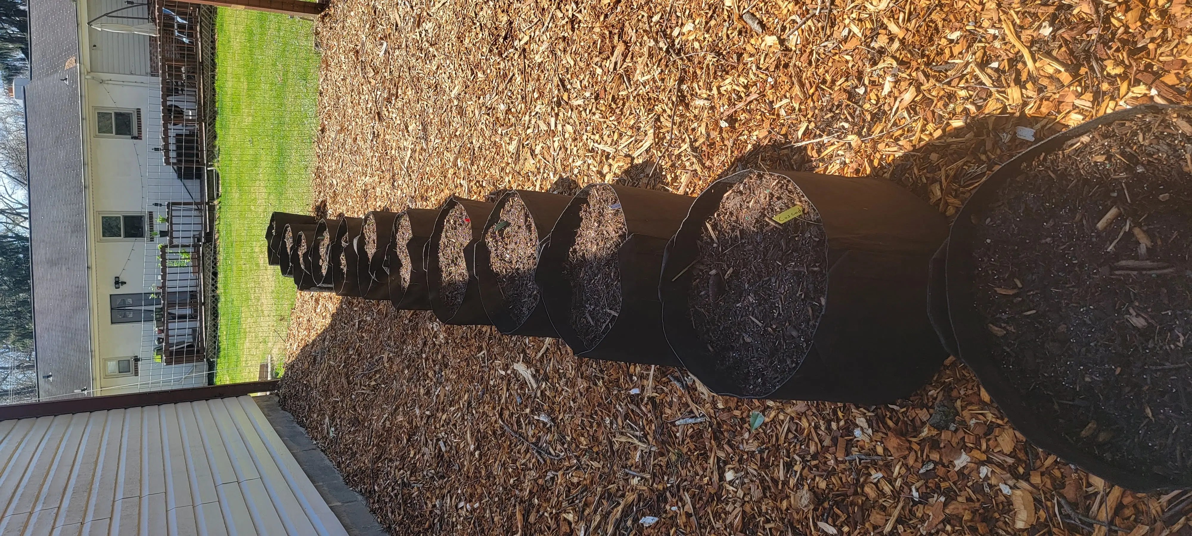 Image 20220408_123328.webp