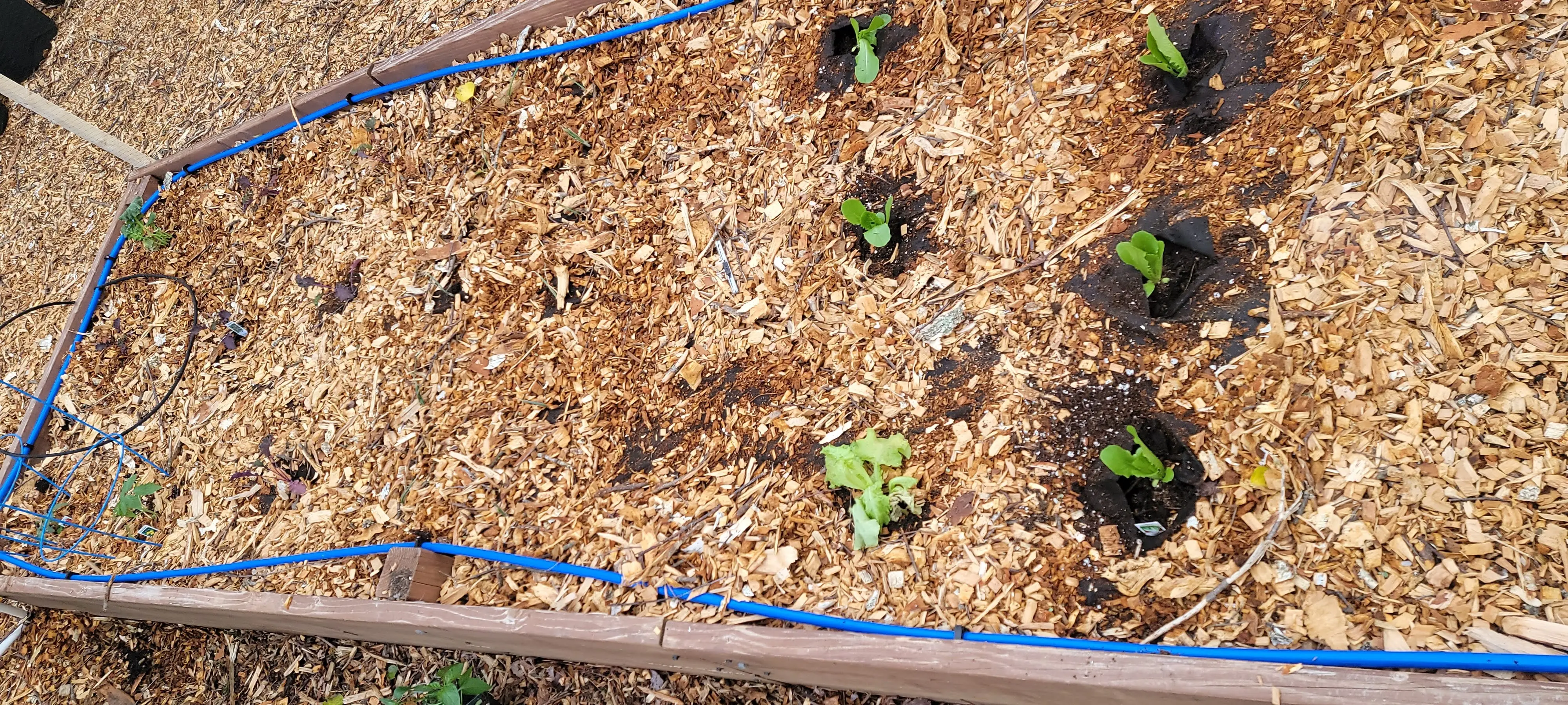 Image 20220409_183016.webp