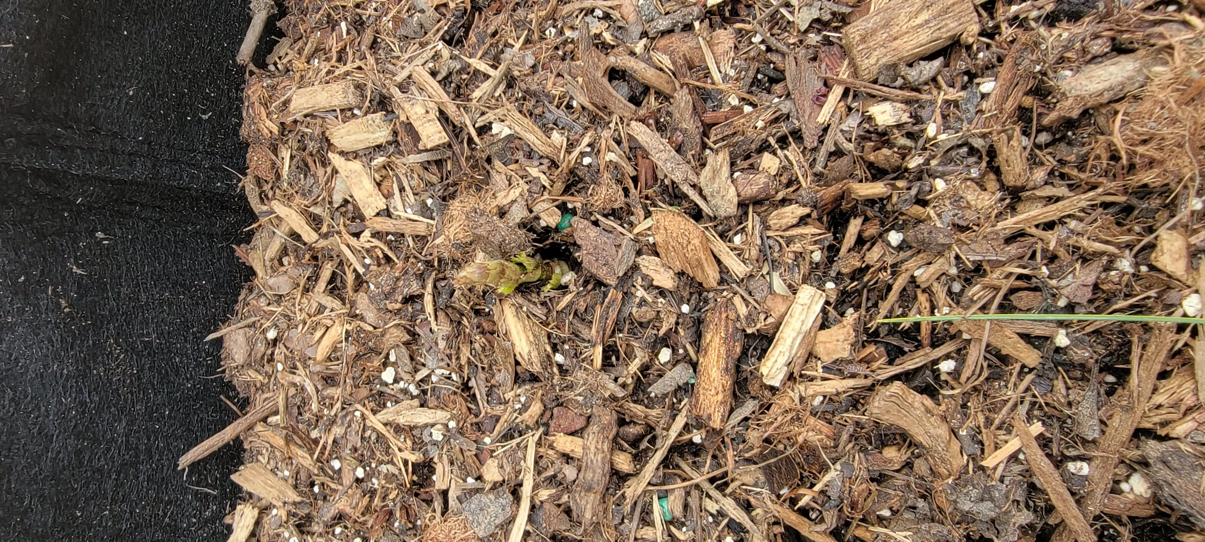 Image 20220412_120322.webp