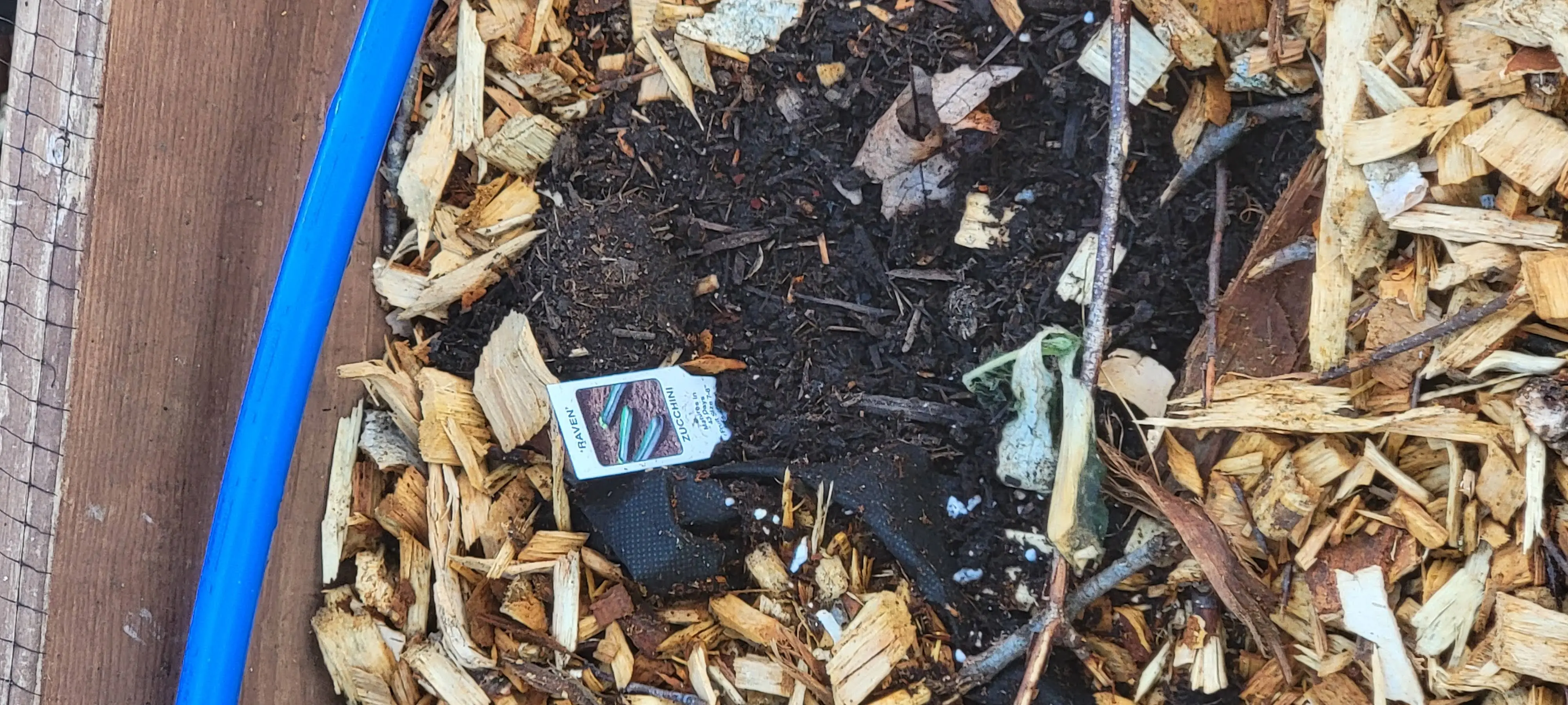 Image 20220412_180529.webp