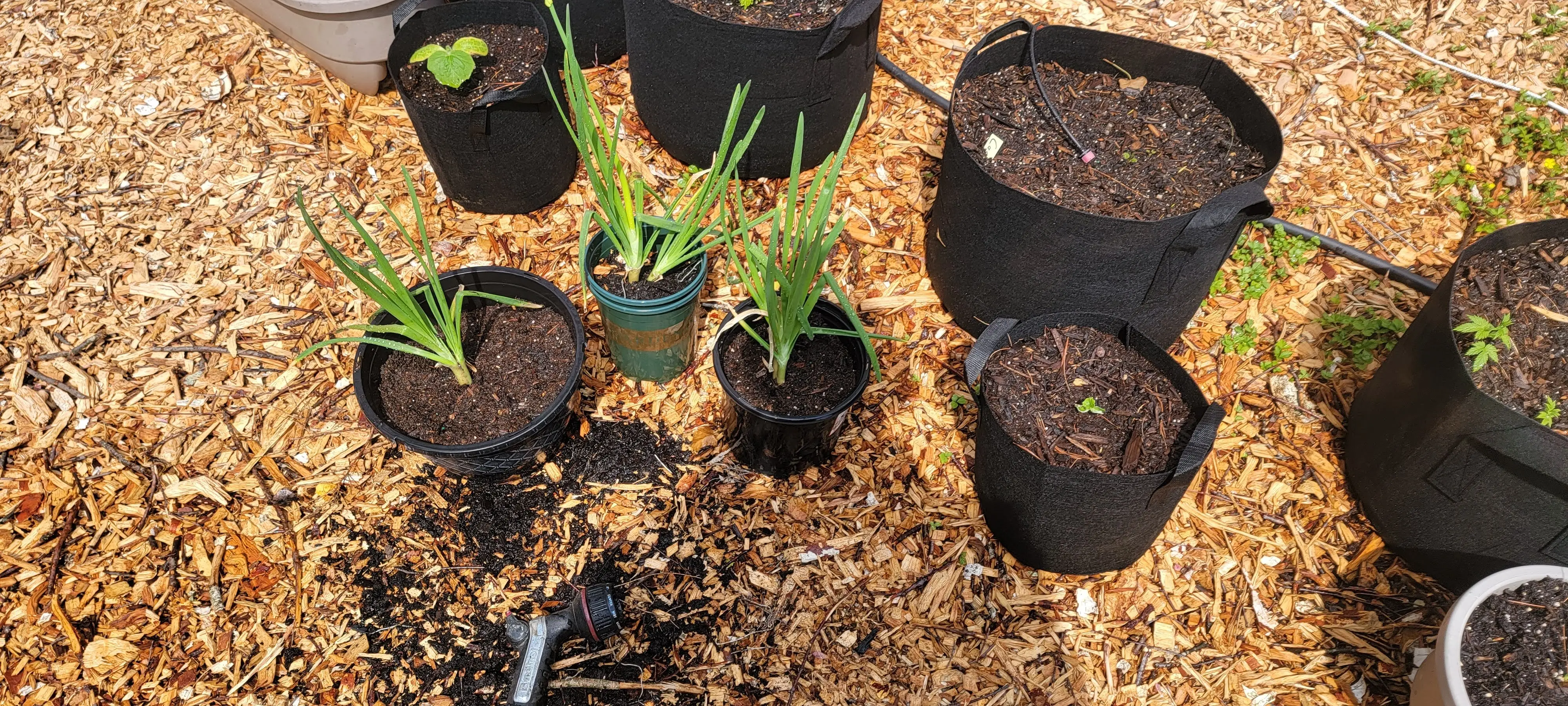 Image 20220503_151815.webp