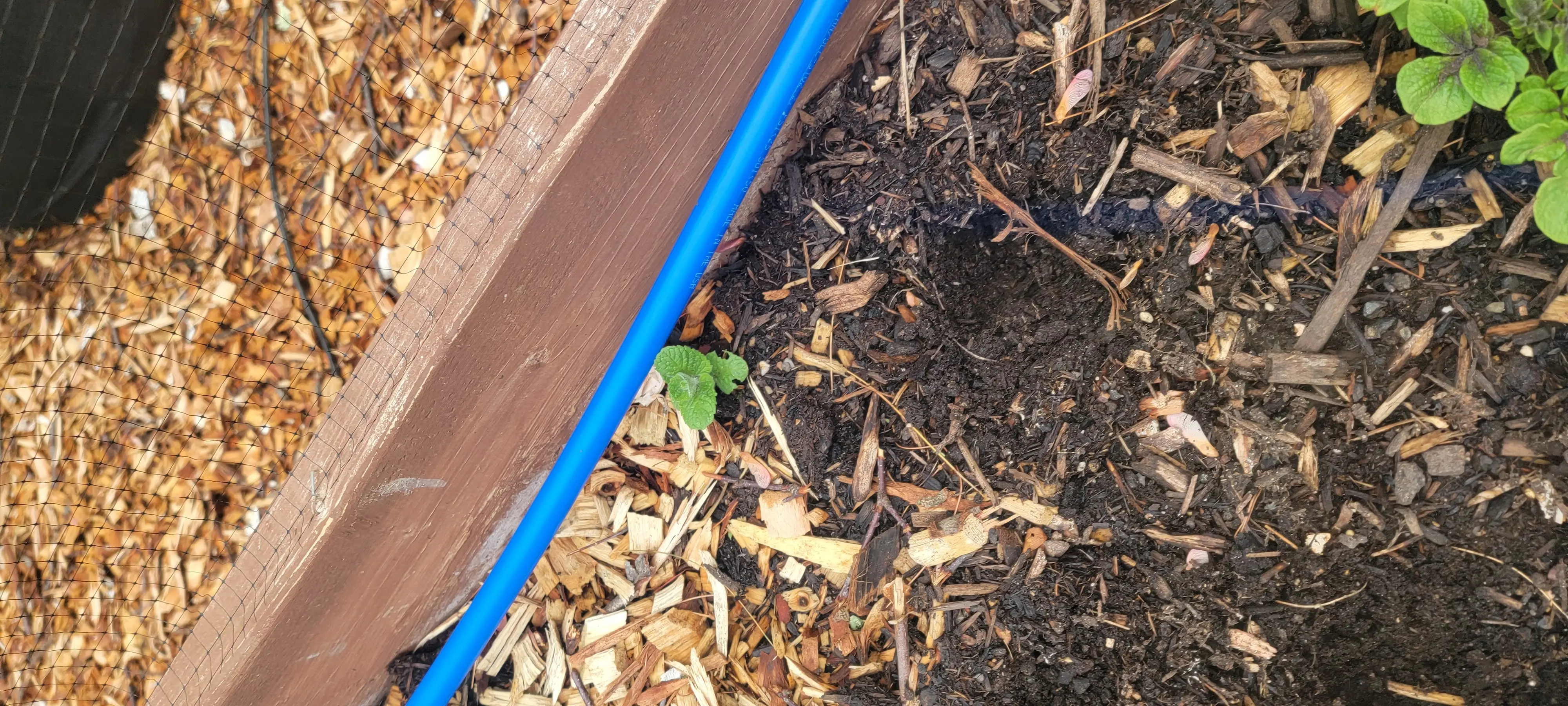 Image 20220504_140746.webp