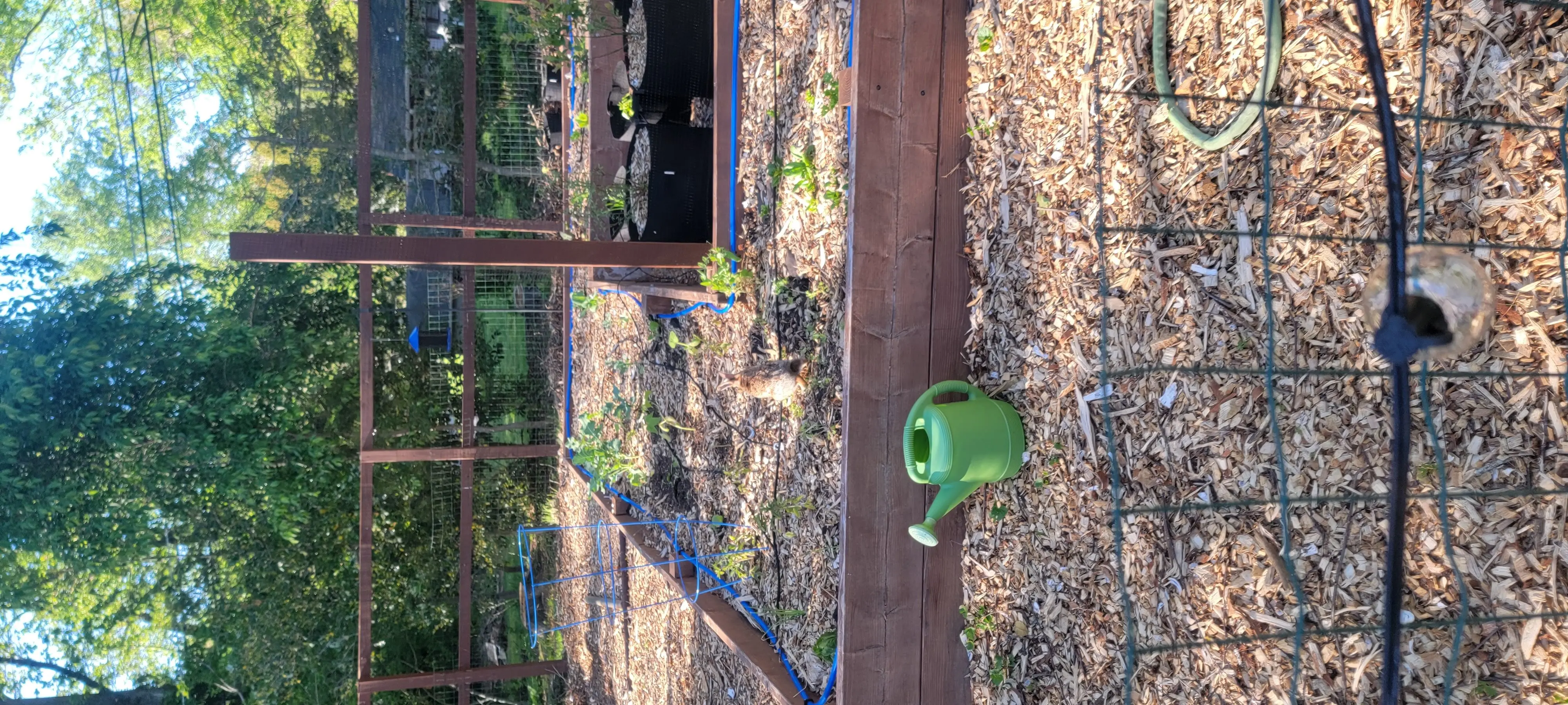 Image 20220509_175741.webp