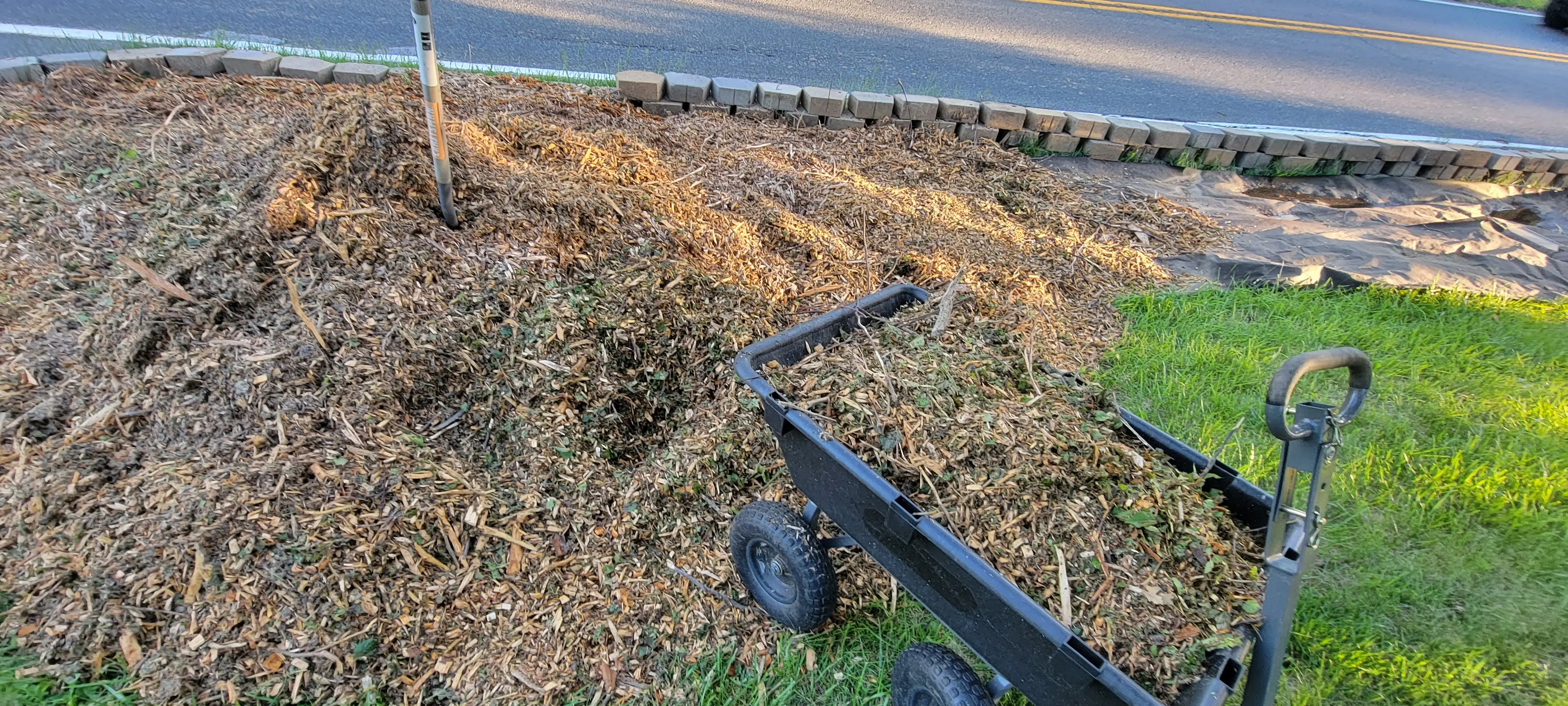 Image 20220511_192305.webp