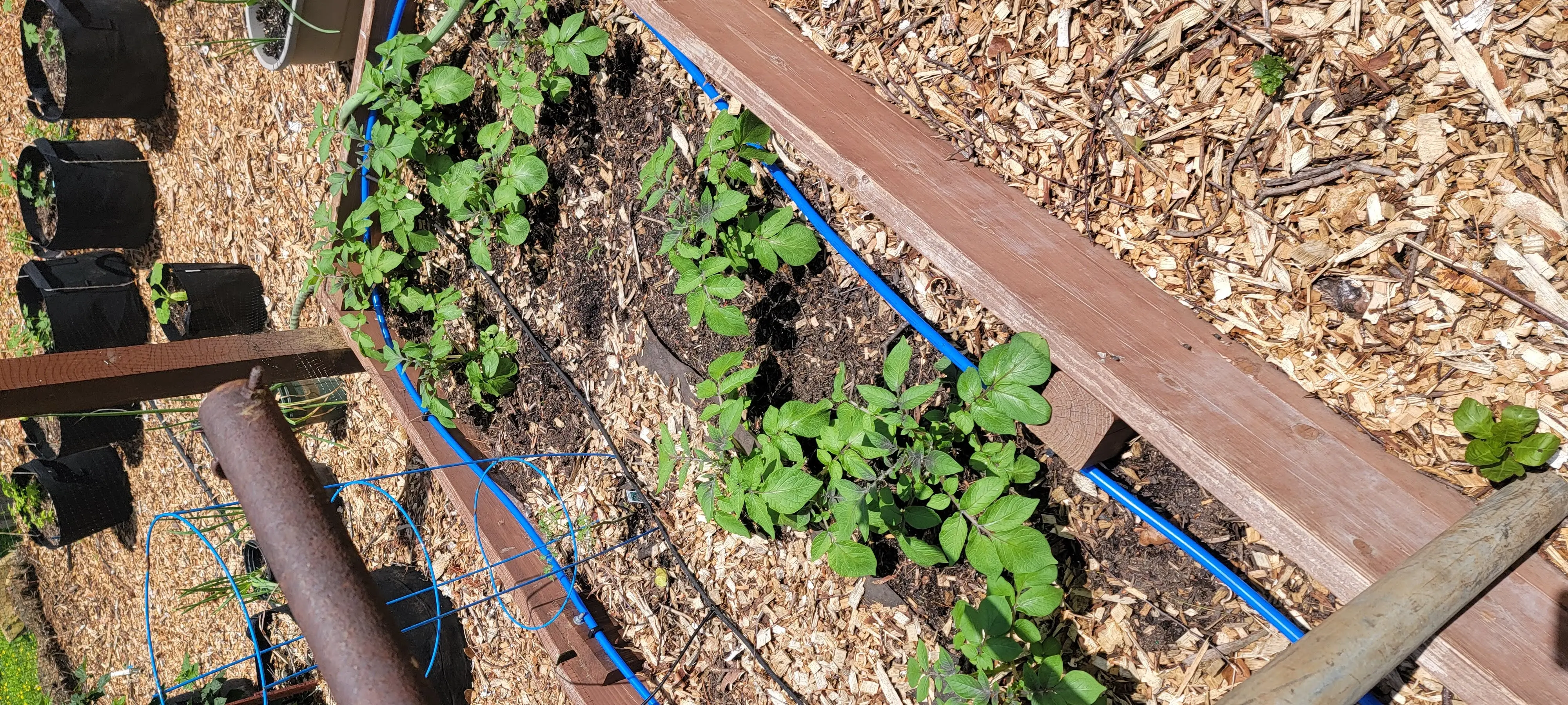 Image 20220515_130014.webp