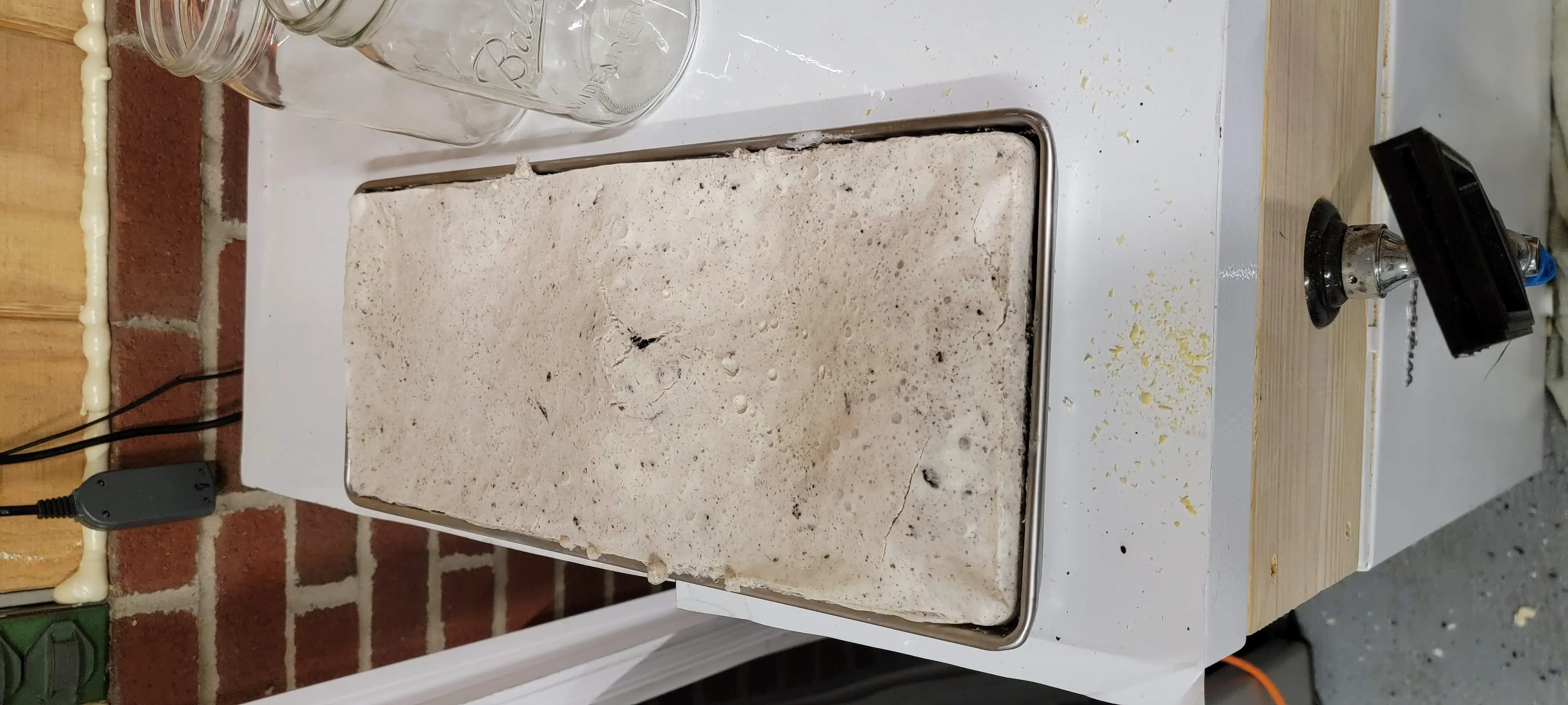 Image 20220523_005156.webp