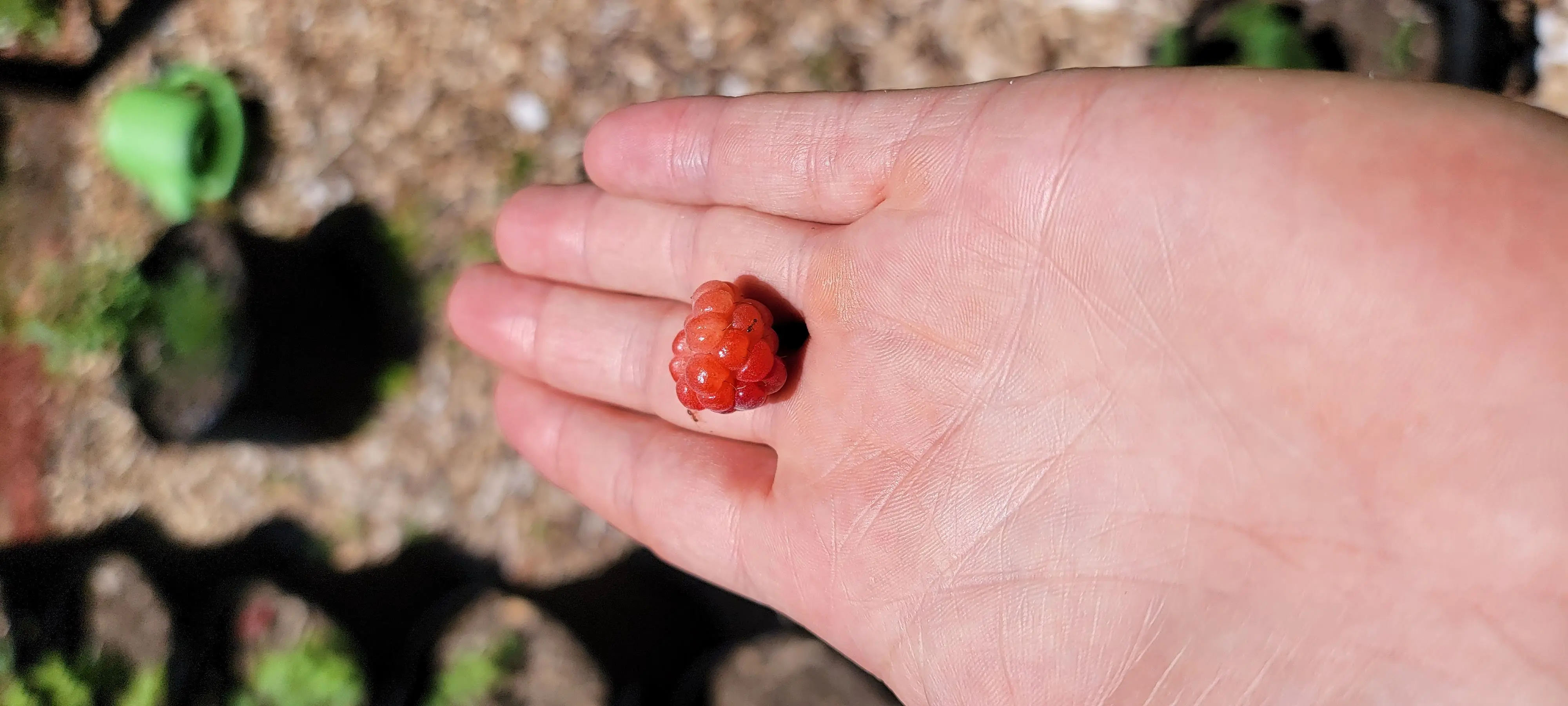 Image 20220606_124759.webp