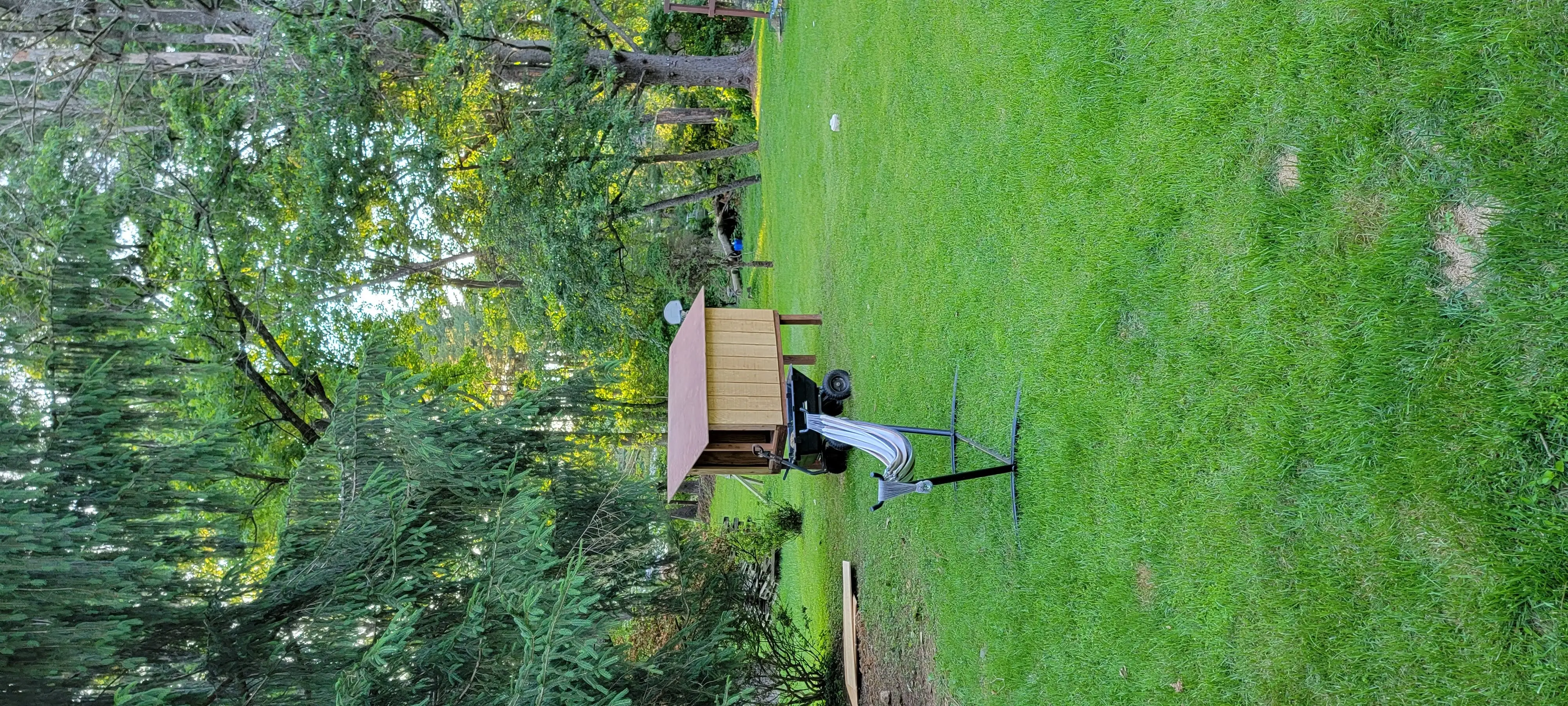 Image 20220606_194454.webp