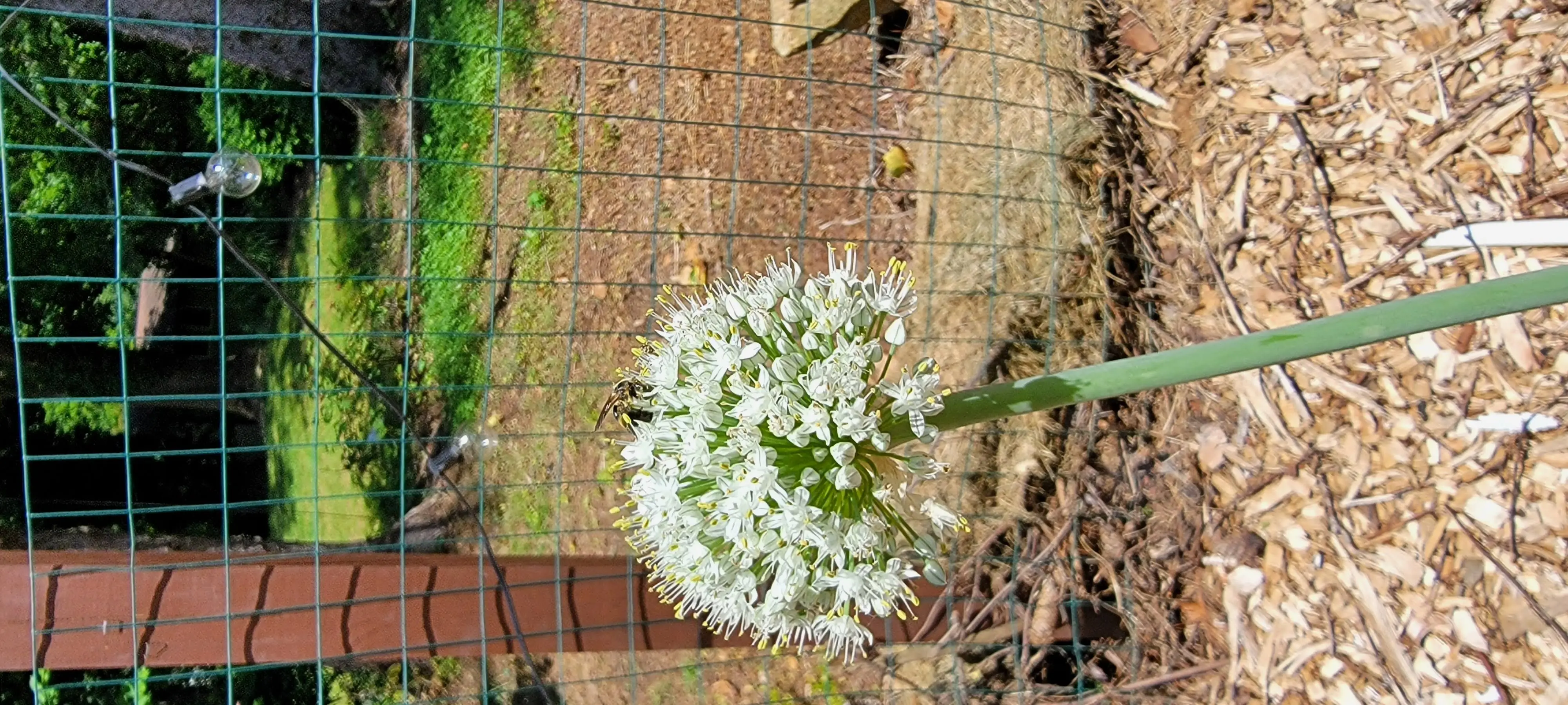 Image 20220610_134206.webp