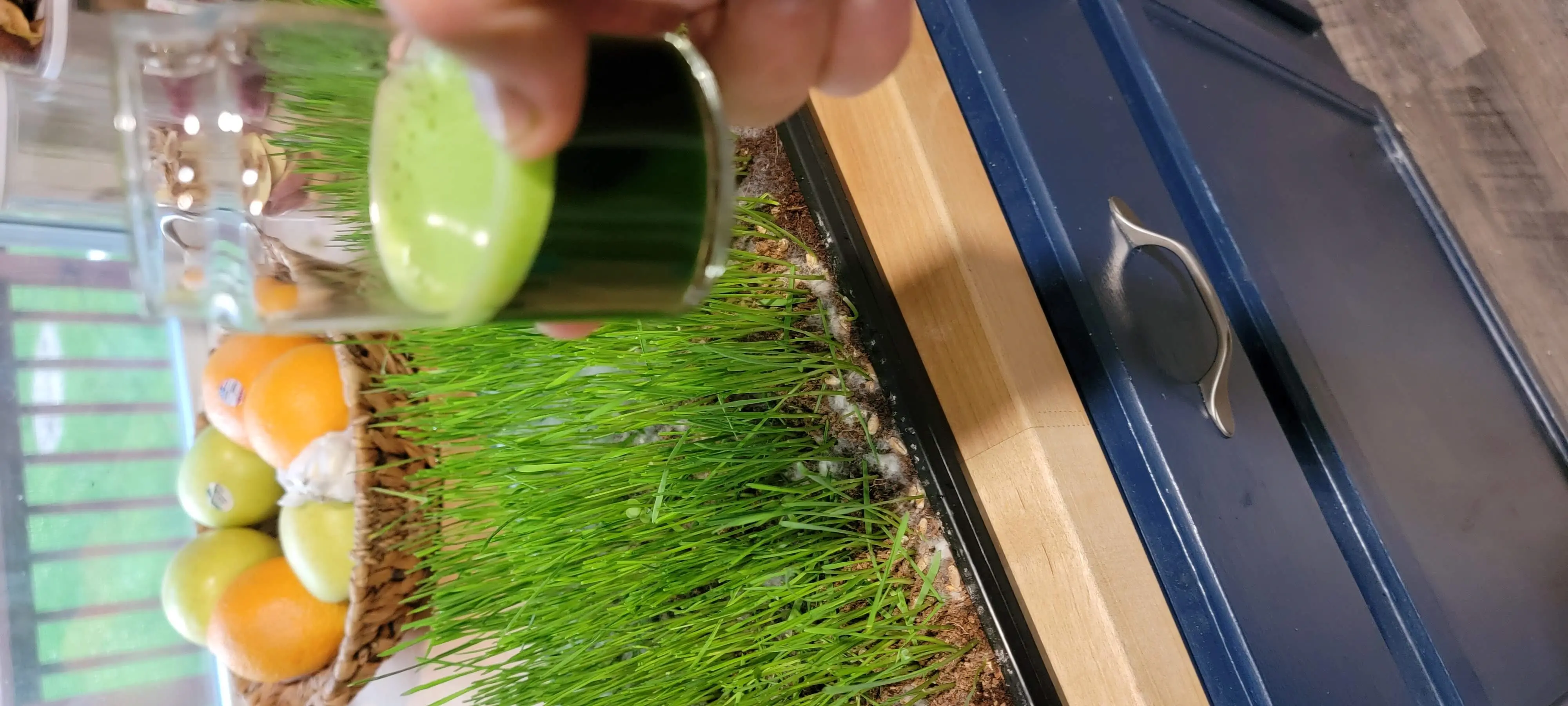 Image 20220612_200701.webp