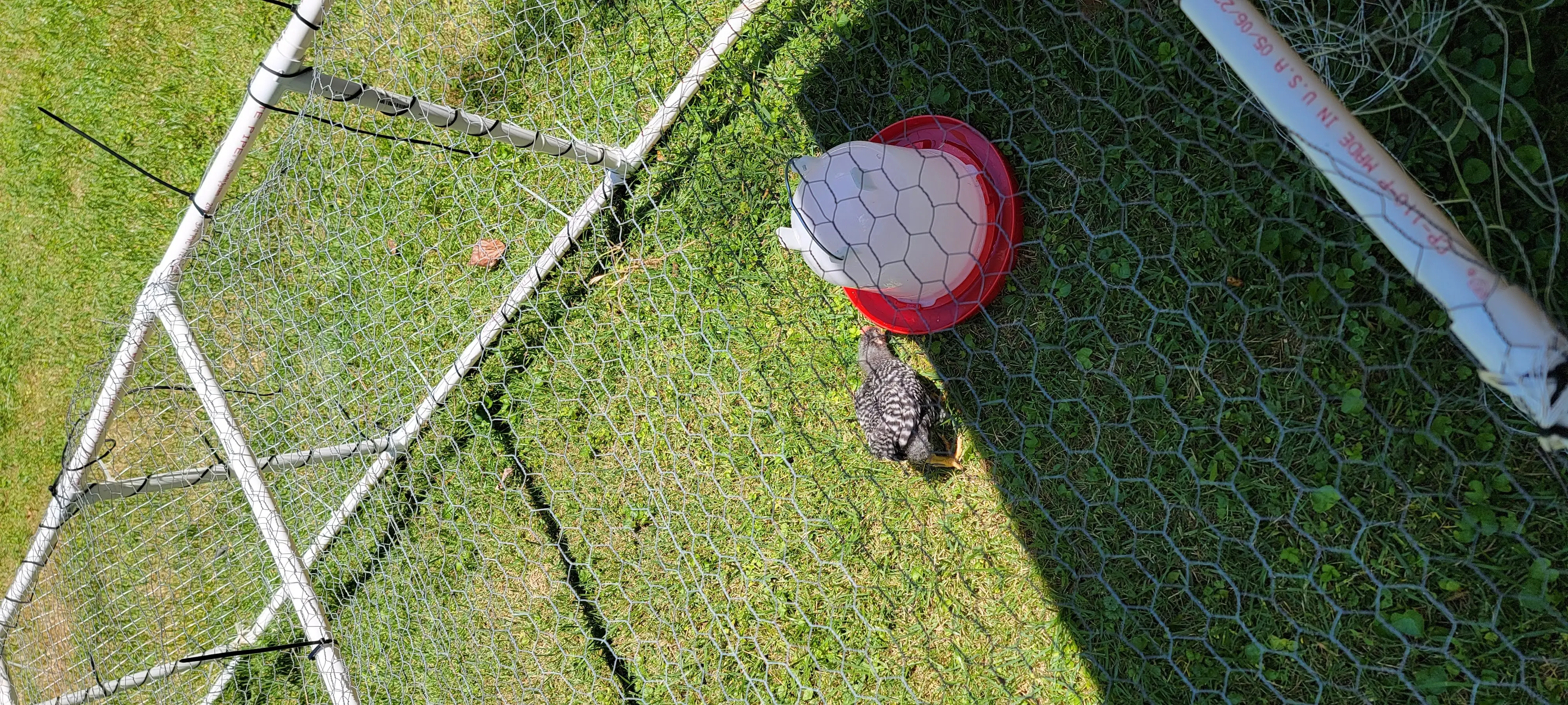 Image 20220625_130015.webp