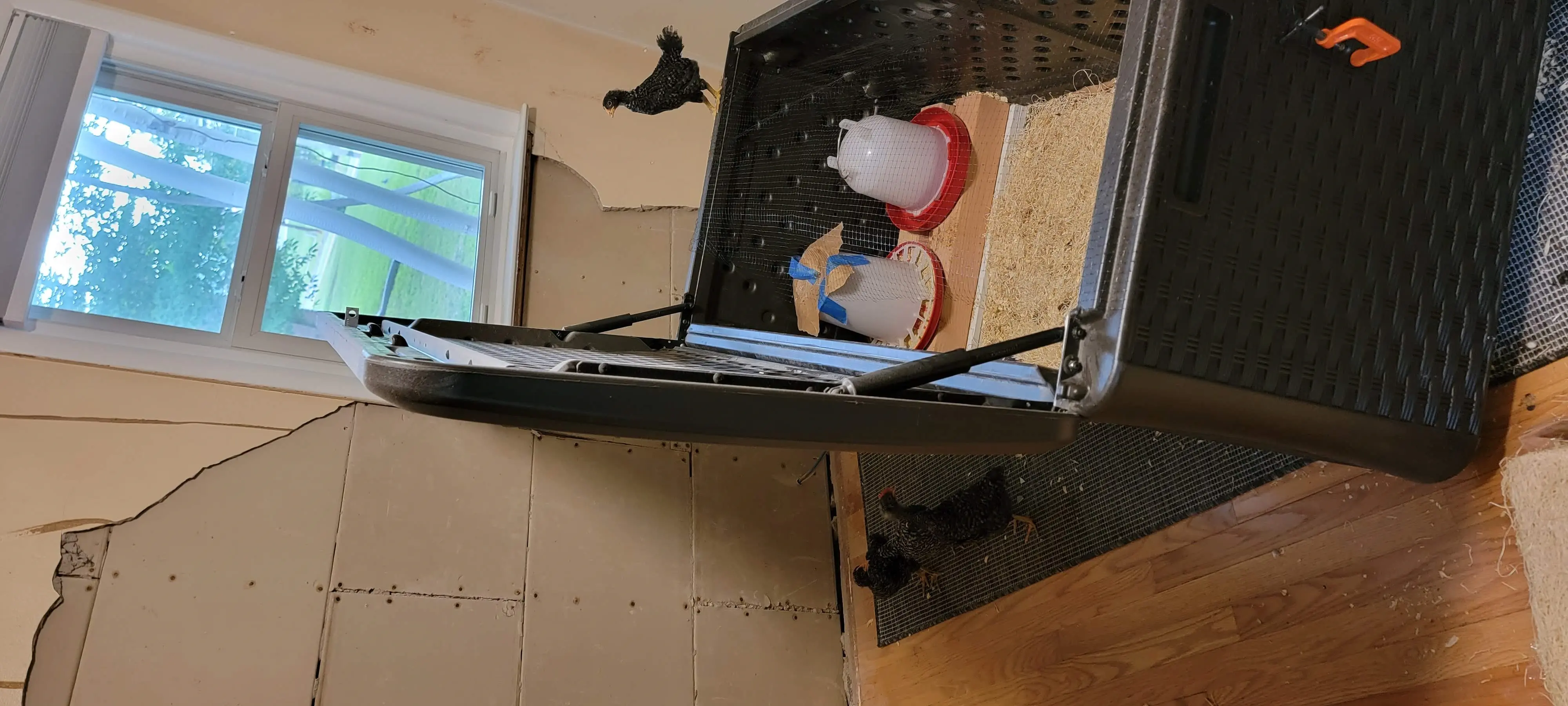 Image 20220627_080251.webp