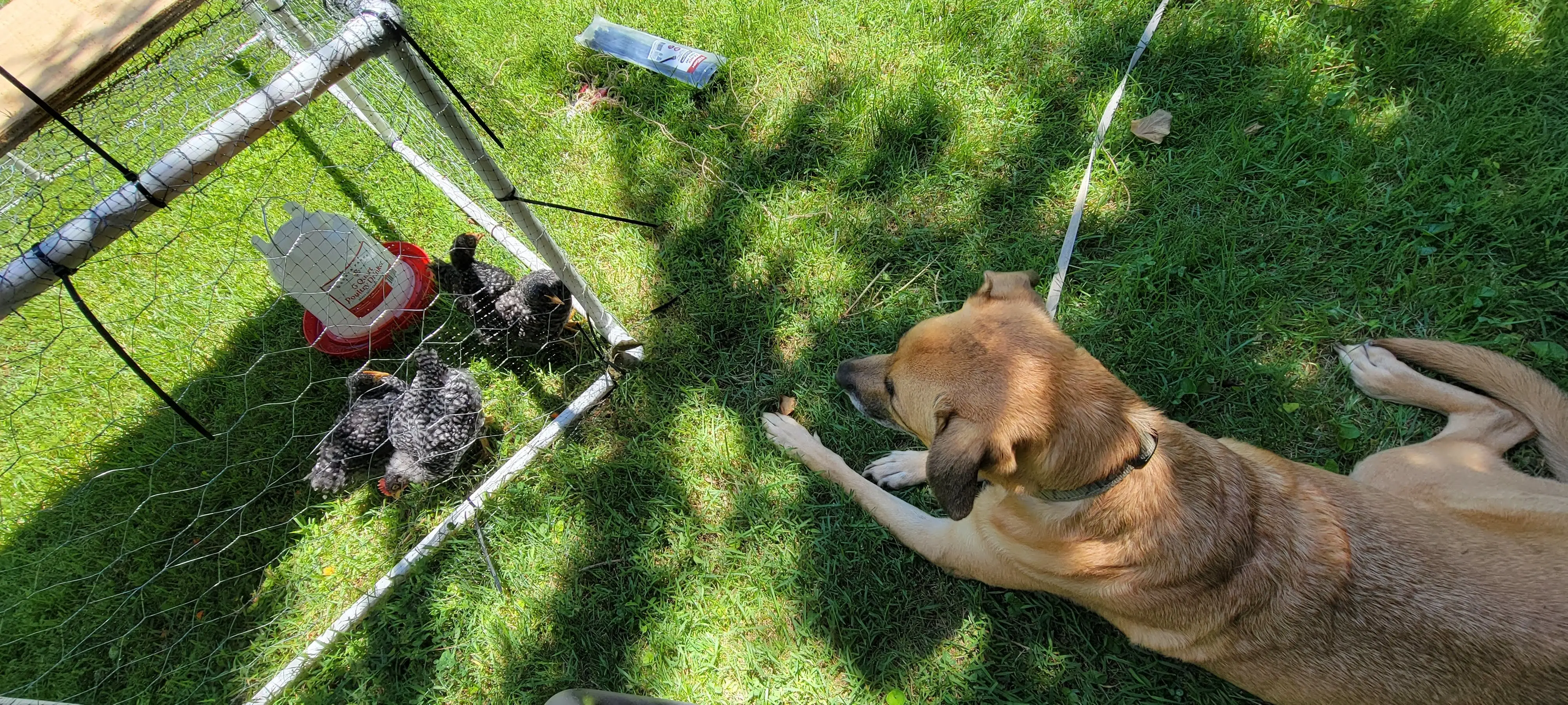 Image 20220628_124128.webp