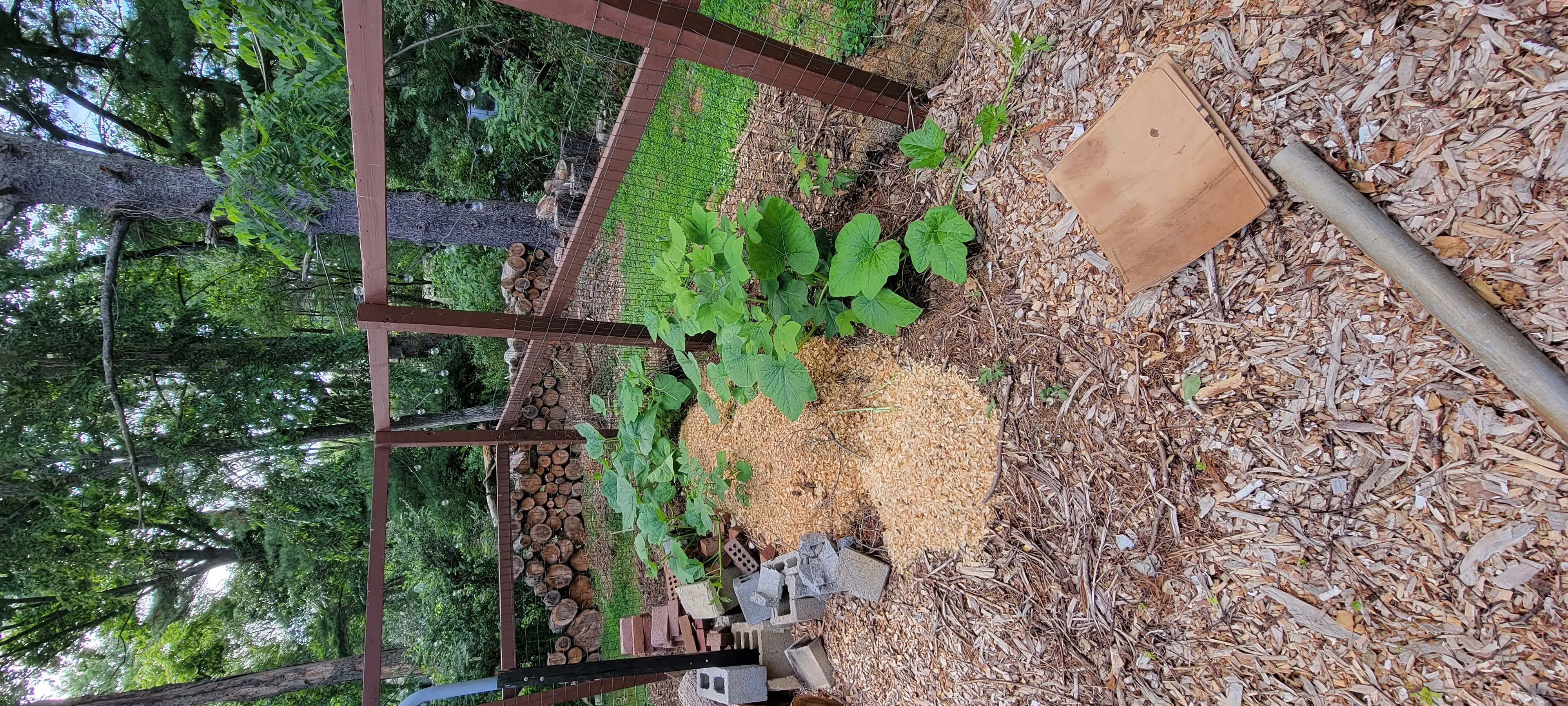 Image 20220628_165658.webp