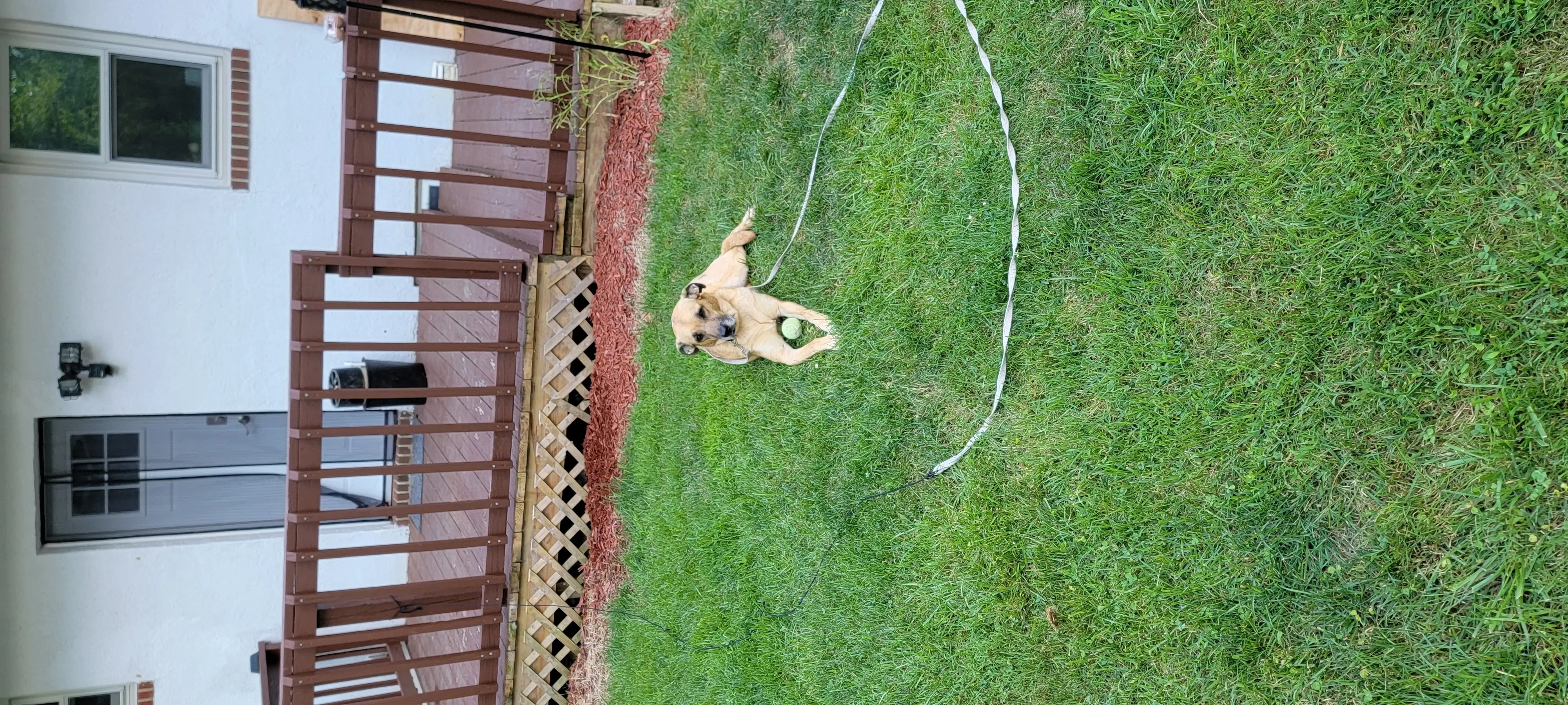 Image 20220628_193301.webp