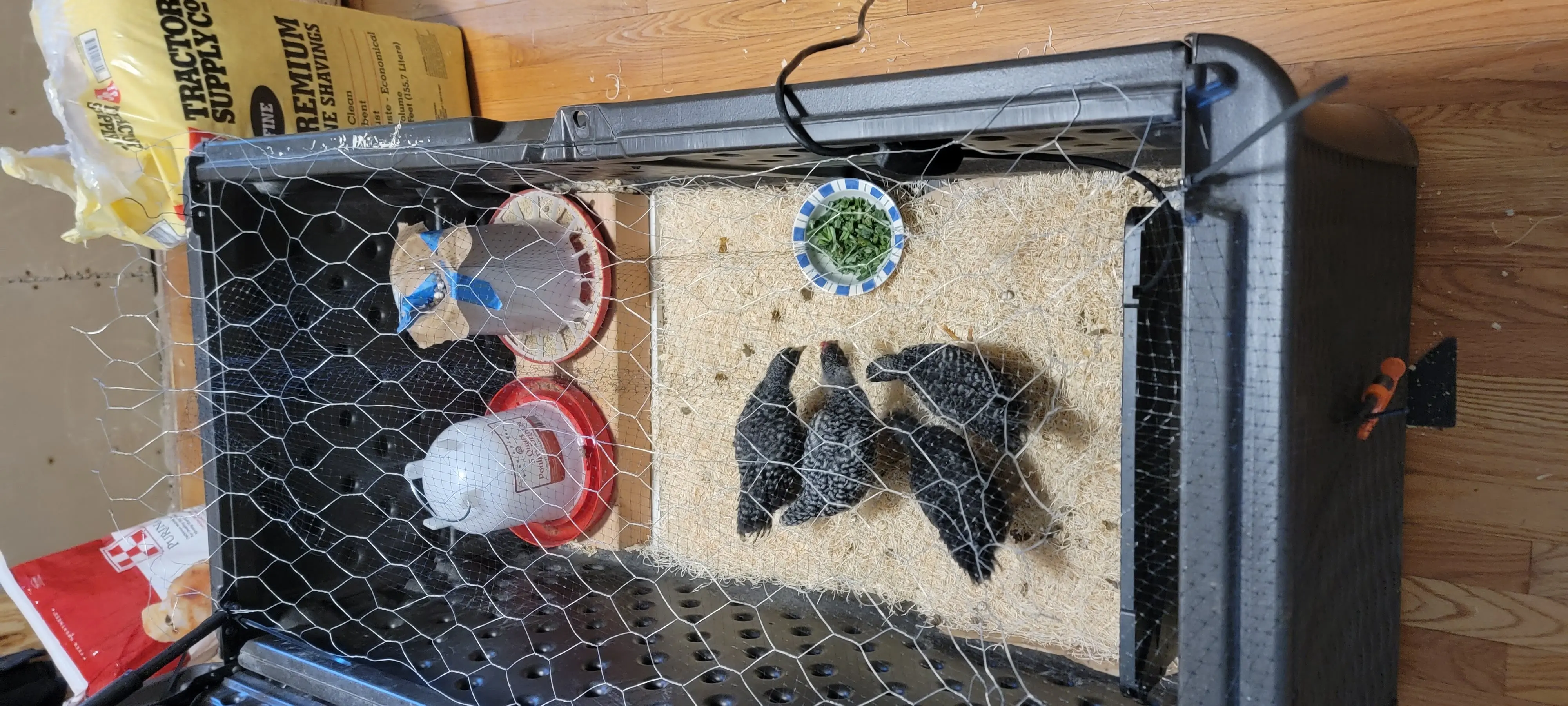 Image 20220629_180921.webp