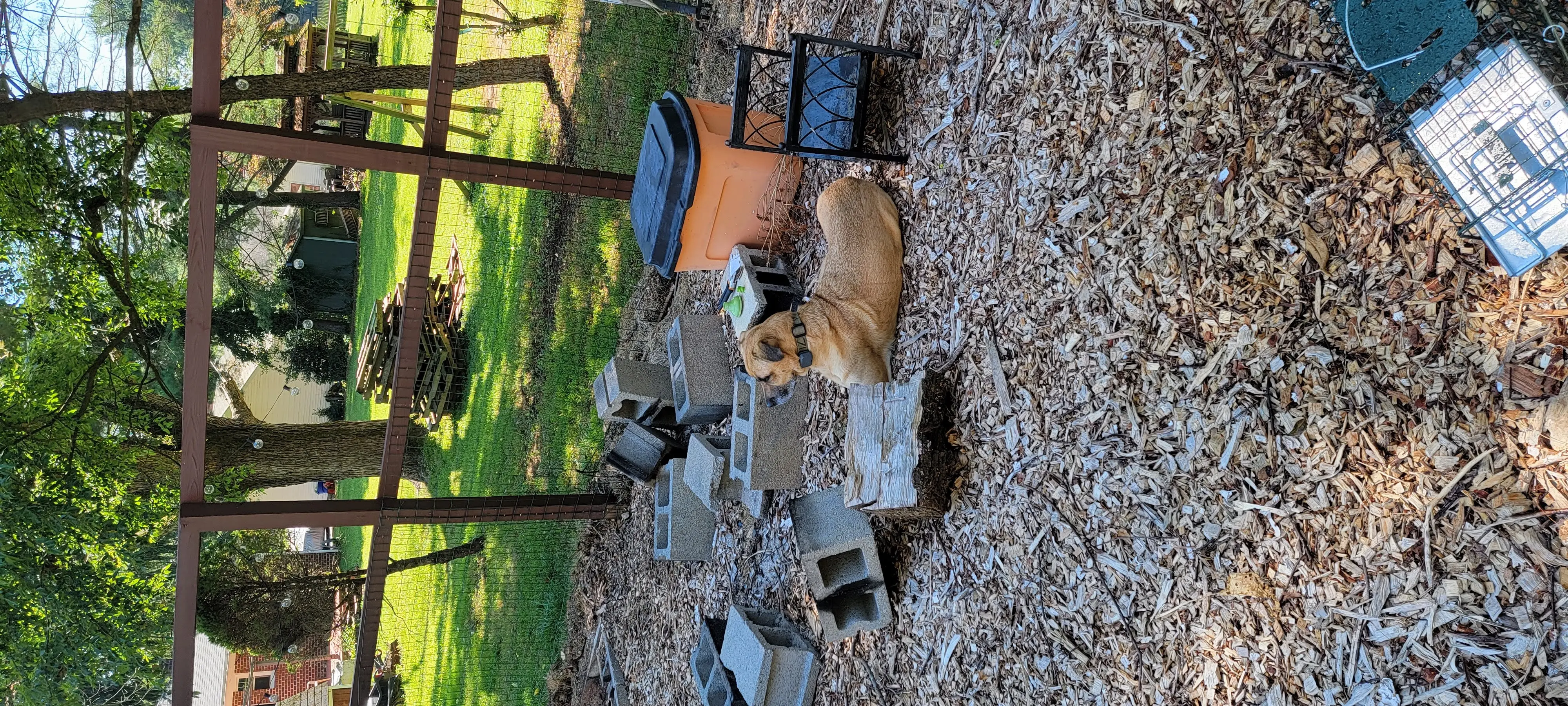 Image 20220703_153235.webp