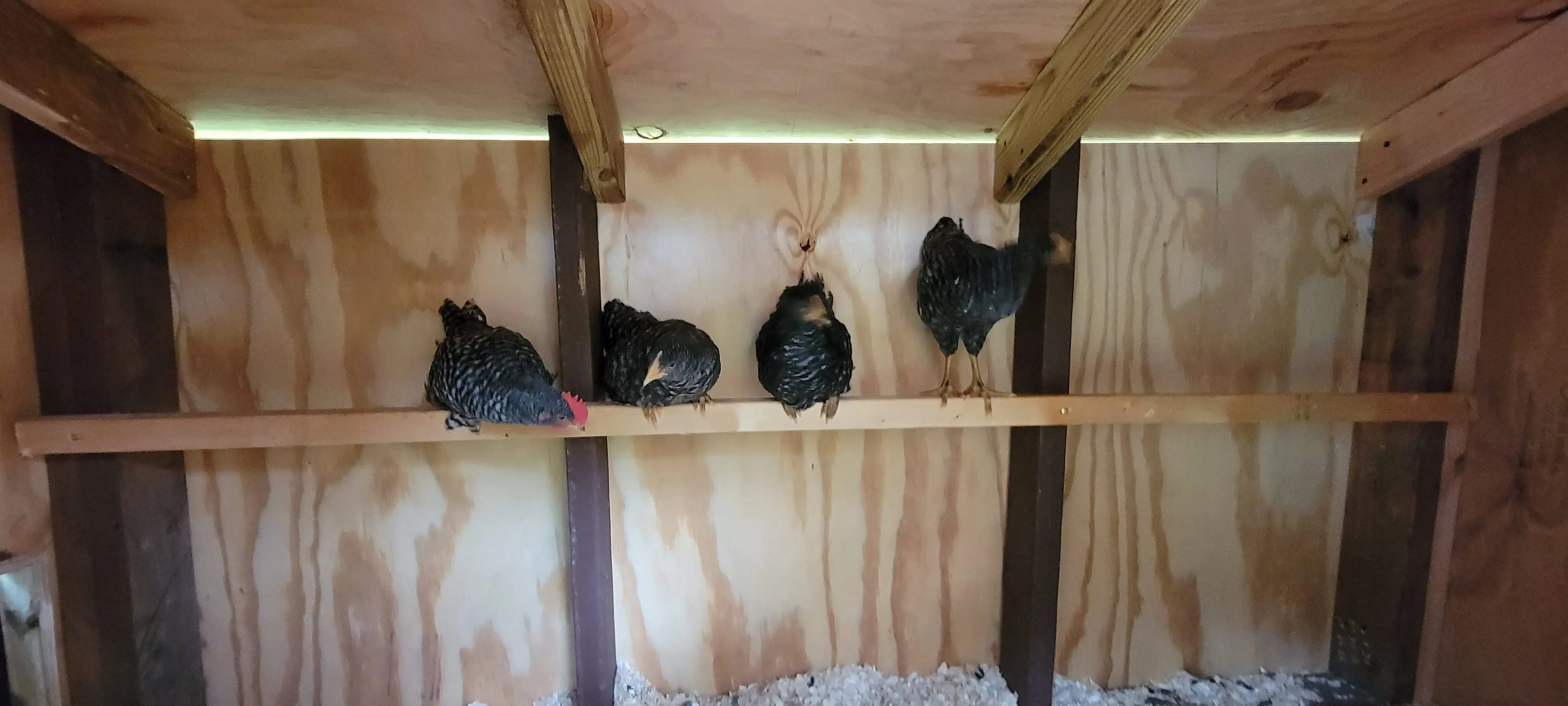 Image 20220709_174625.webp