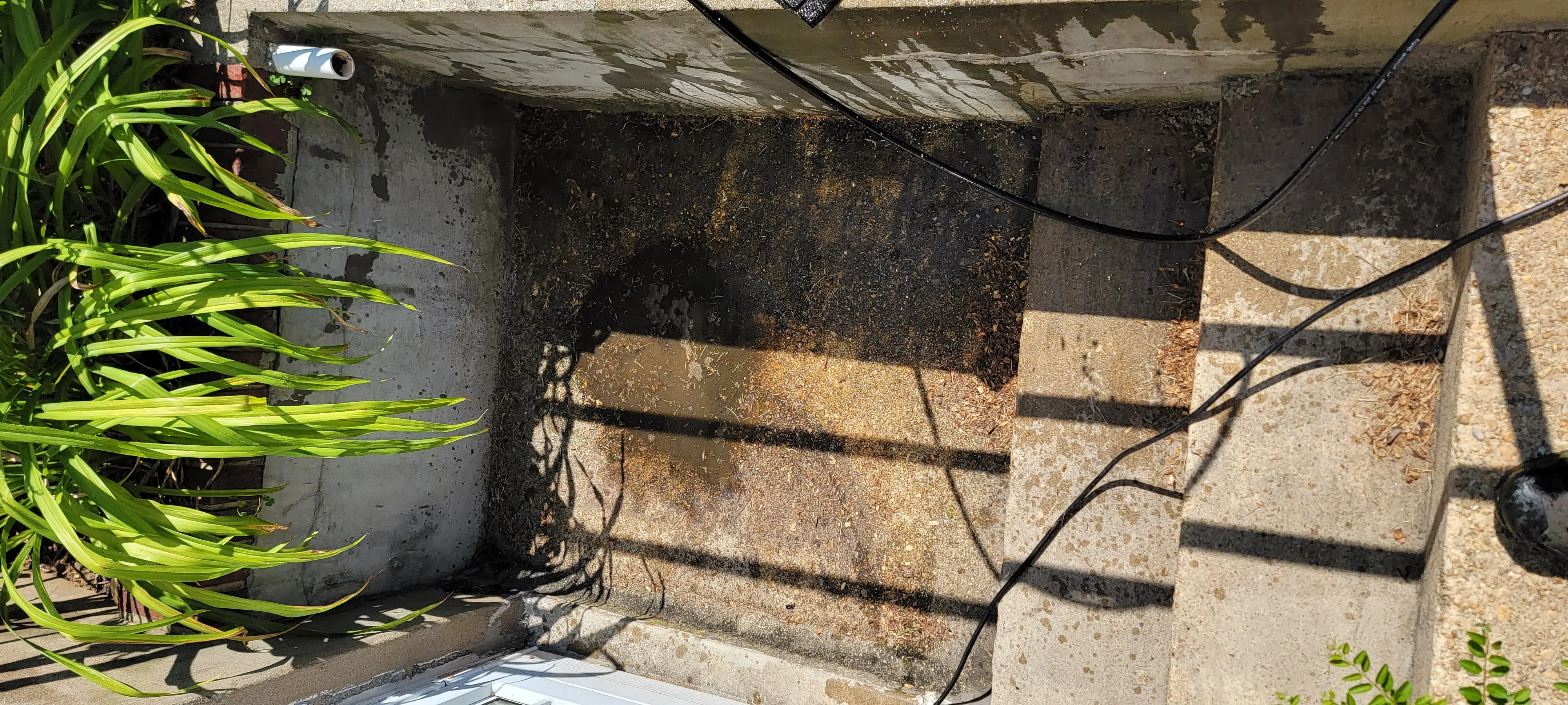 Image 20220714_104854.webp