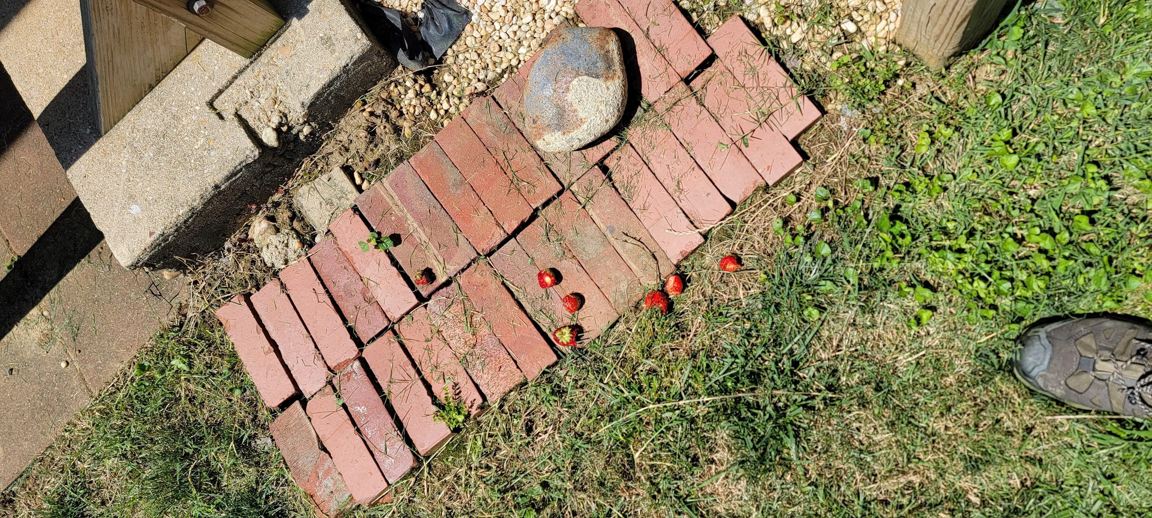 Image 20220714_113735.webp