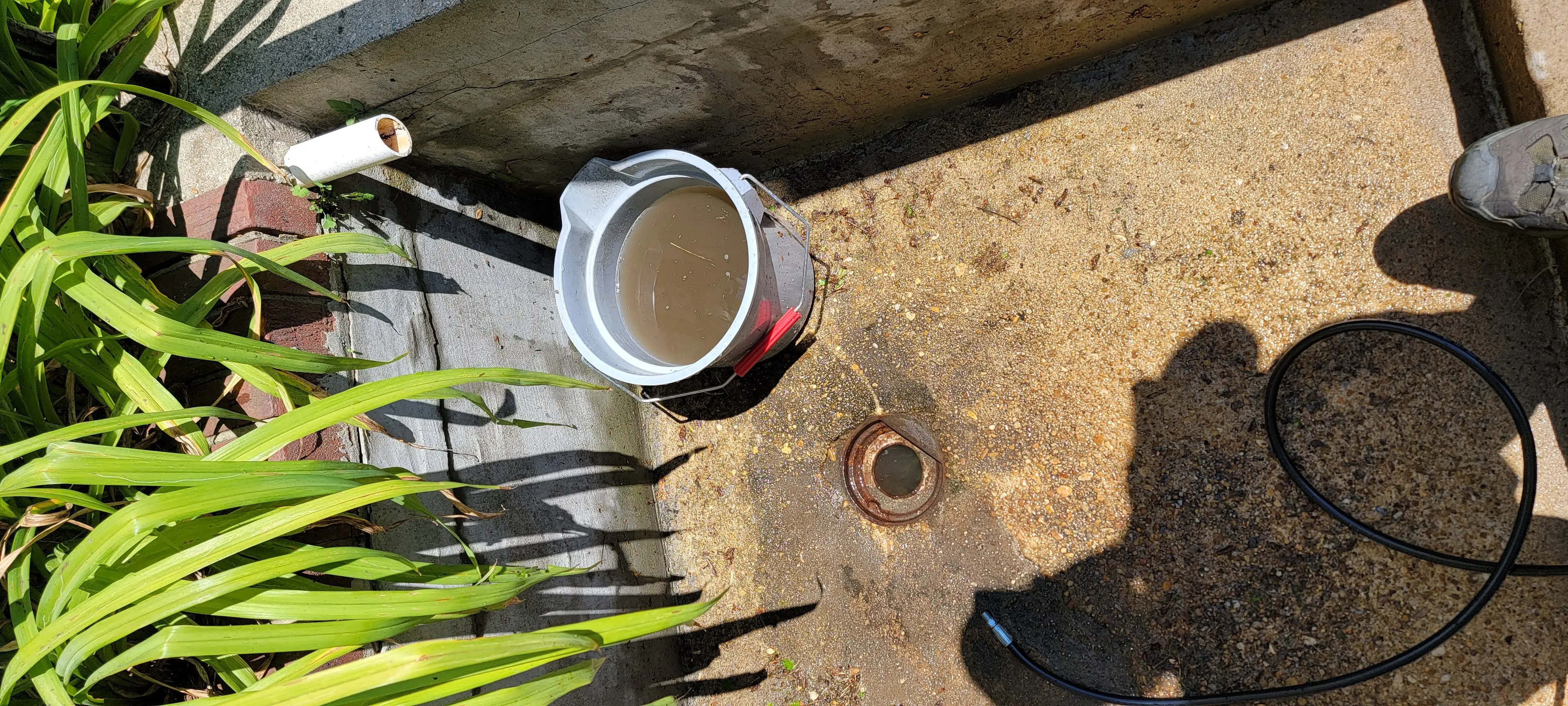 Image 20220714_133006.webp