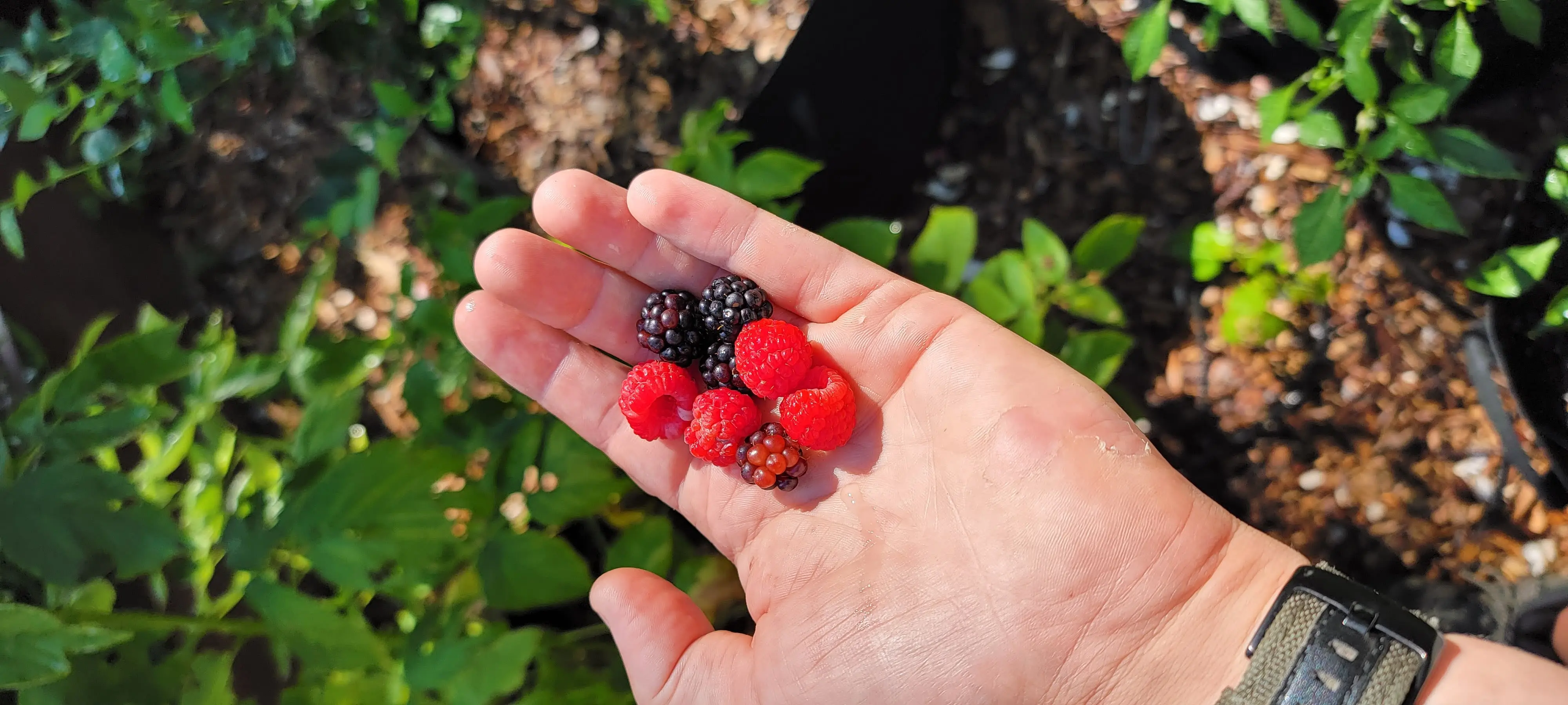 Image 20220714_164455.webp