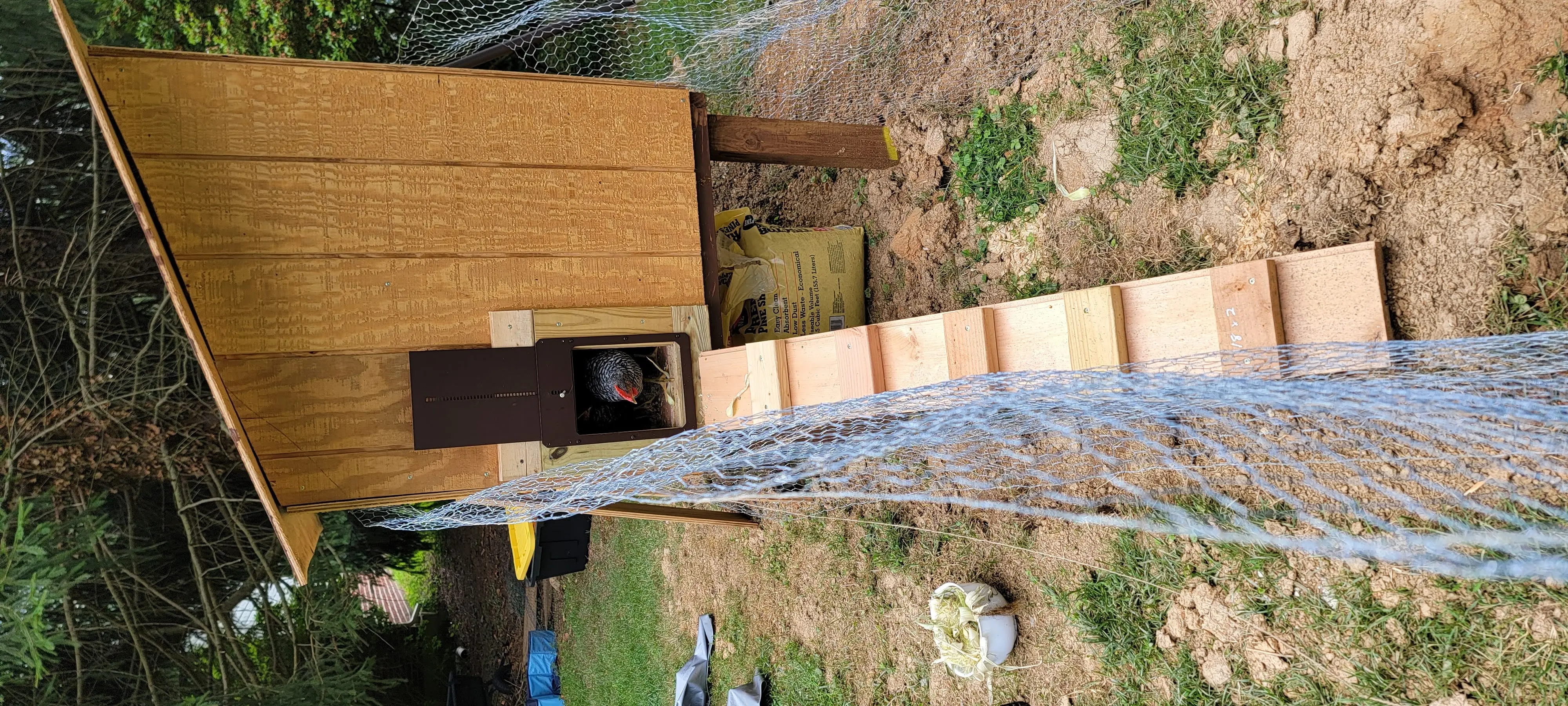 Image 20220716_125143.webp