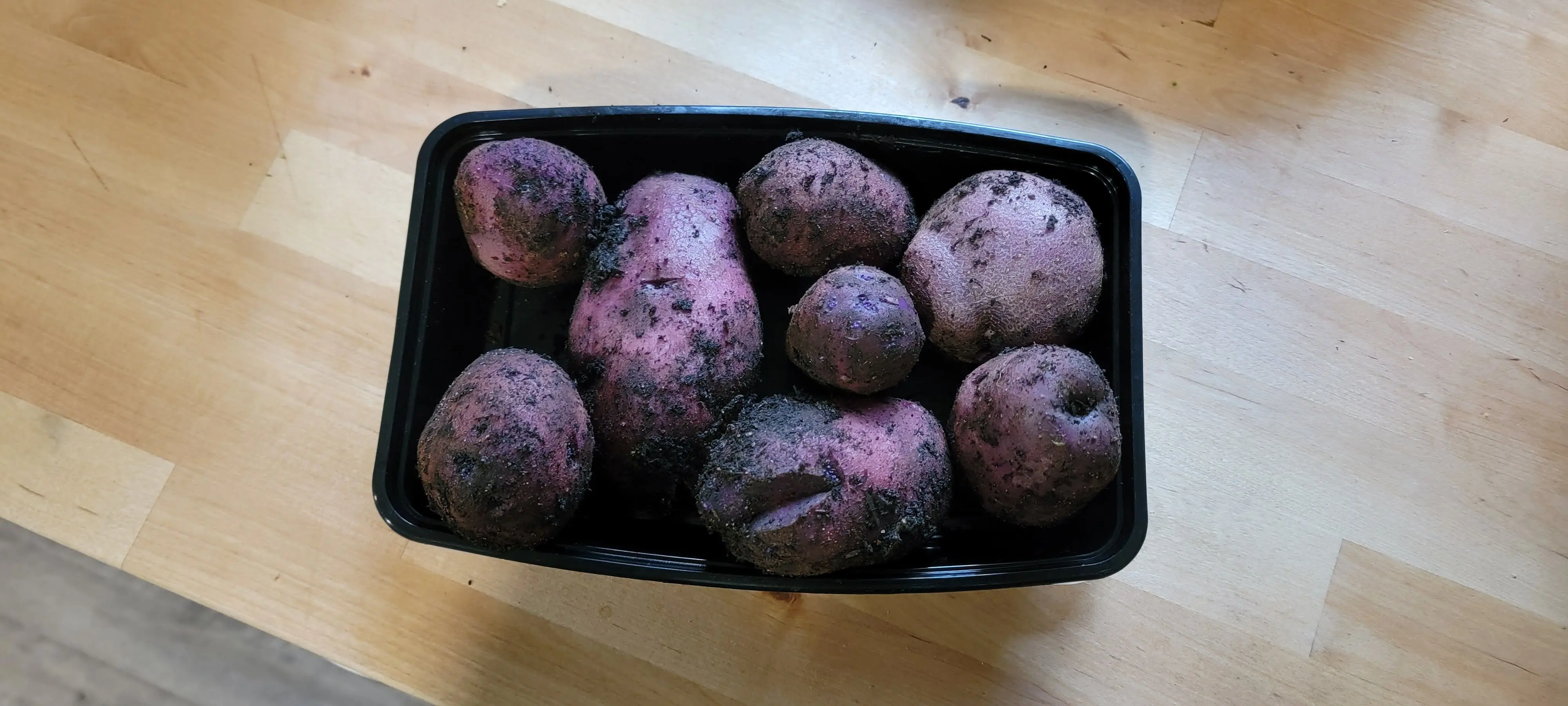 Image 20220716_171741.webp