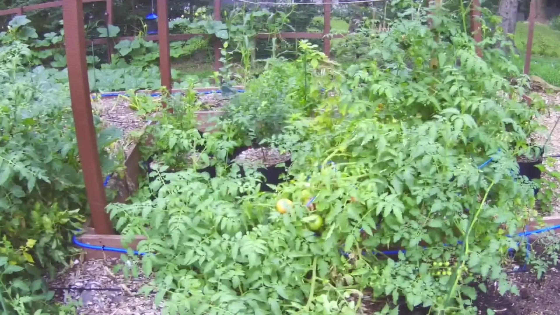 Image 20220727180534690.webp