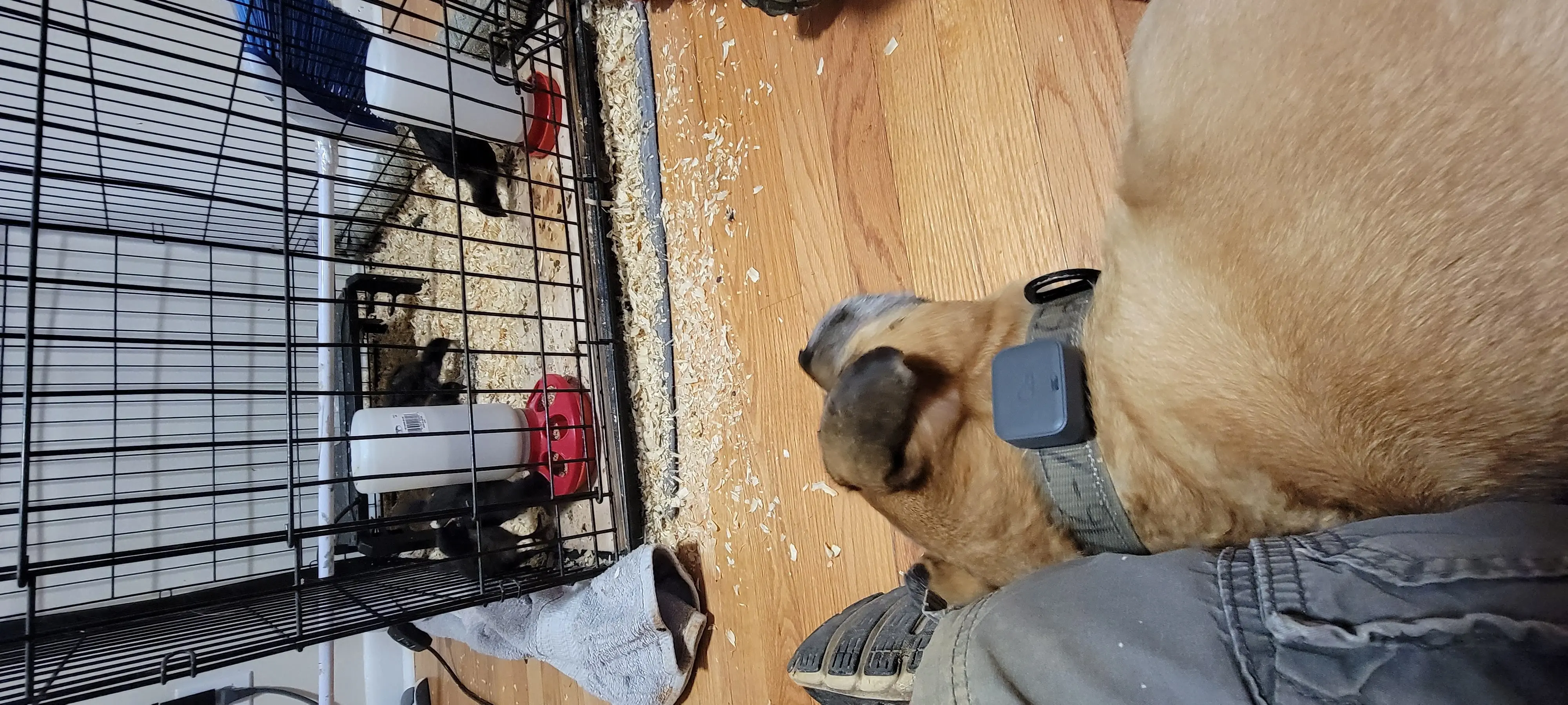 Image 20220816_200117.webp