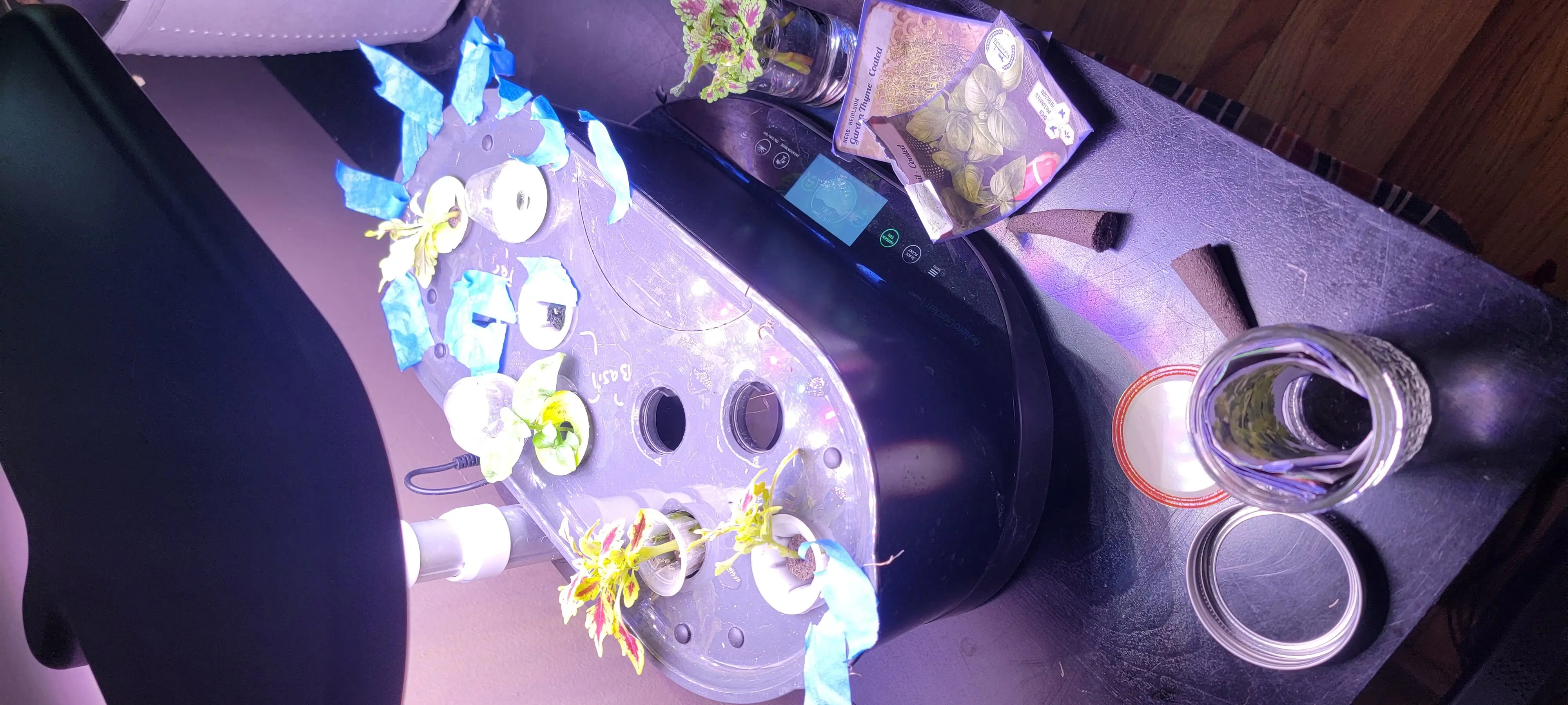 Image 20220821_181230.webp